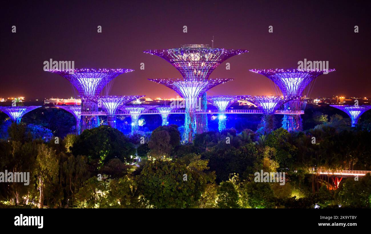 Supertree Grove bei Nacht - Gardens by the Bay, Singapur Stockfoto