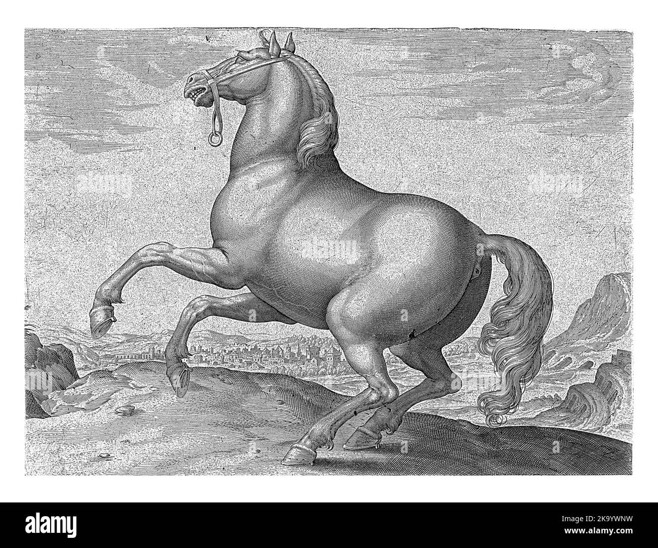 Ein französisches Pferd, im Profil. Es regt sich auf. Der Druck hat eine lateinische Beschriftung und ist Teil des ersten Teils einer 39-teiligen Serie über die Pferderassen der Stockfoto