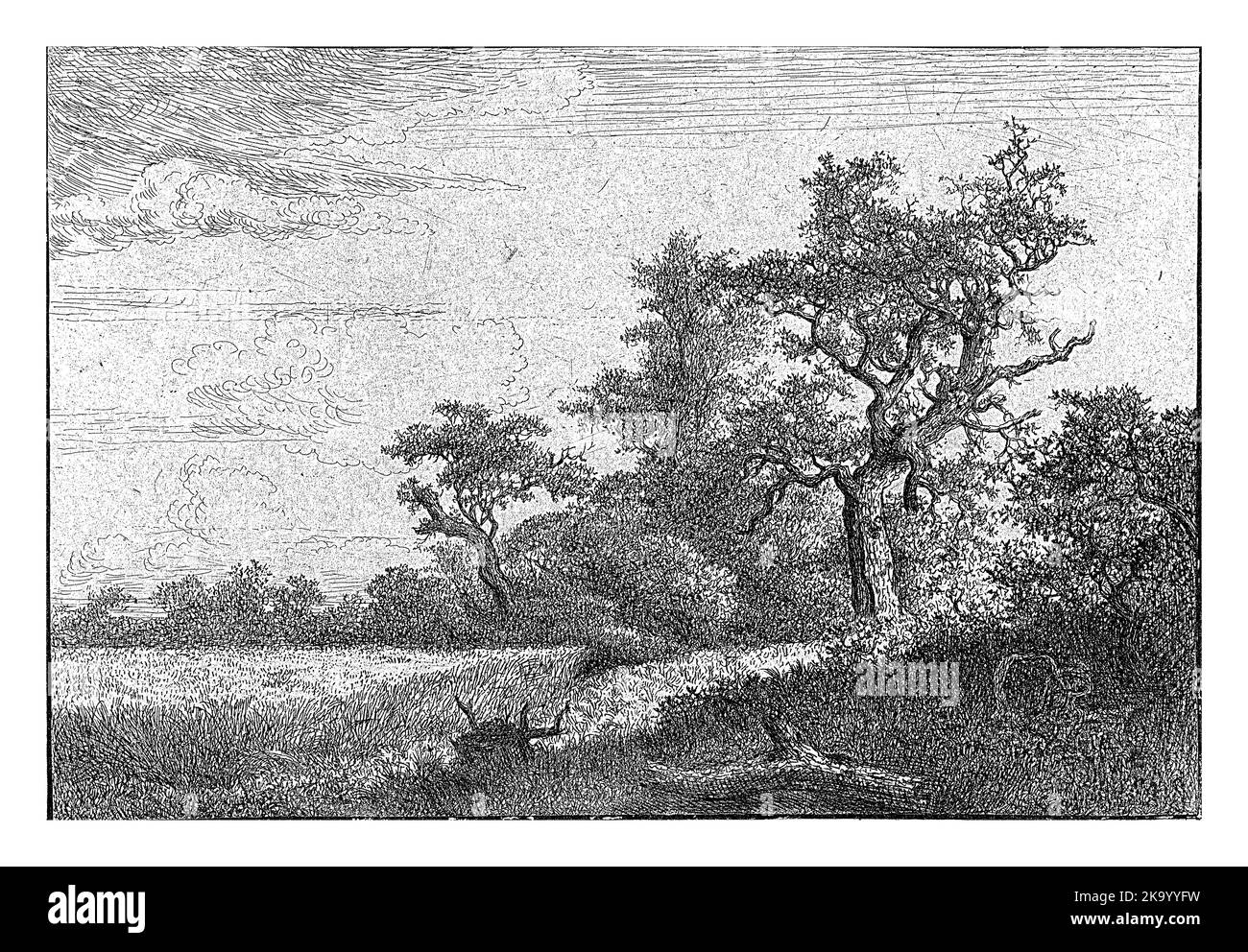 The Cornfield, Jacob Isaacksz. Van Ruisdael, 1648 - 1679 Stockfoto