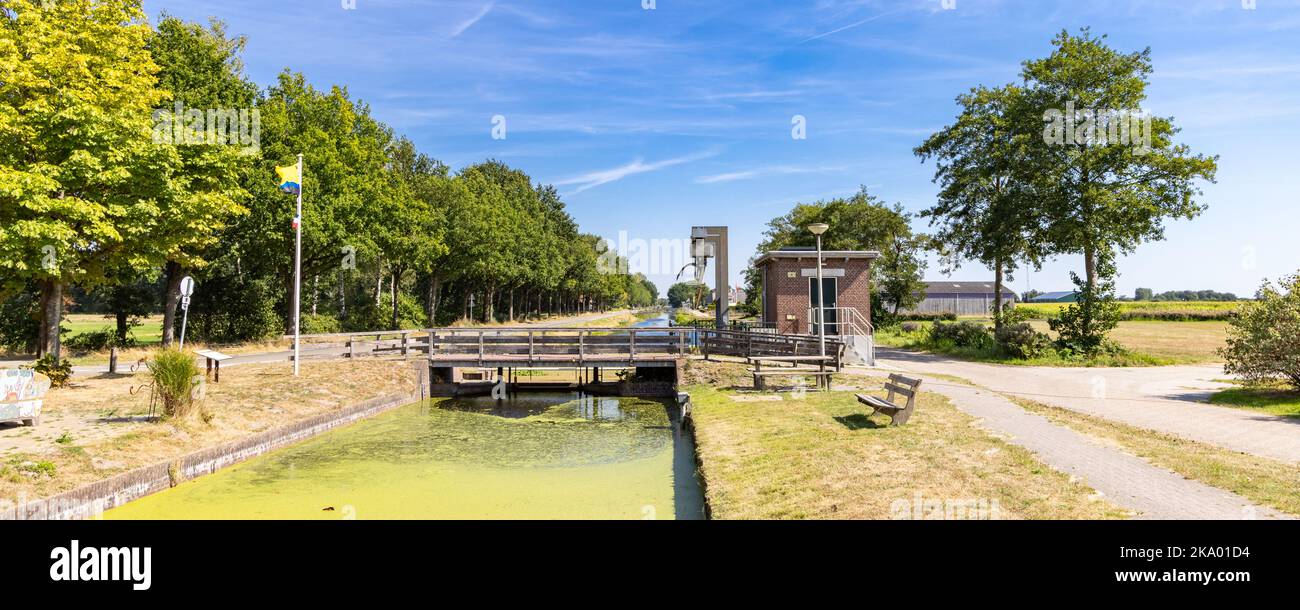 Kanal mit invasivem Wasserpennywort in Jonkersvaart Nachbarschaft in der Gemeinde Westerkwartier in der Provinz Groningen, Niederlande Stockfoto