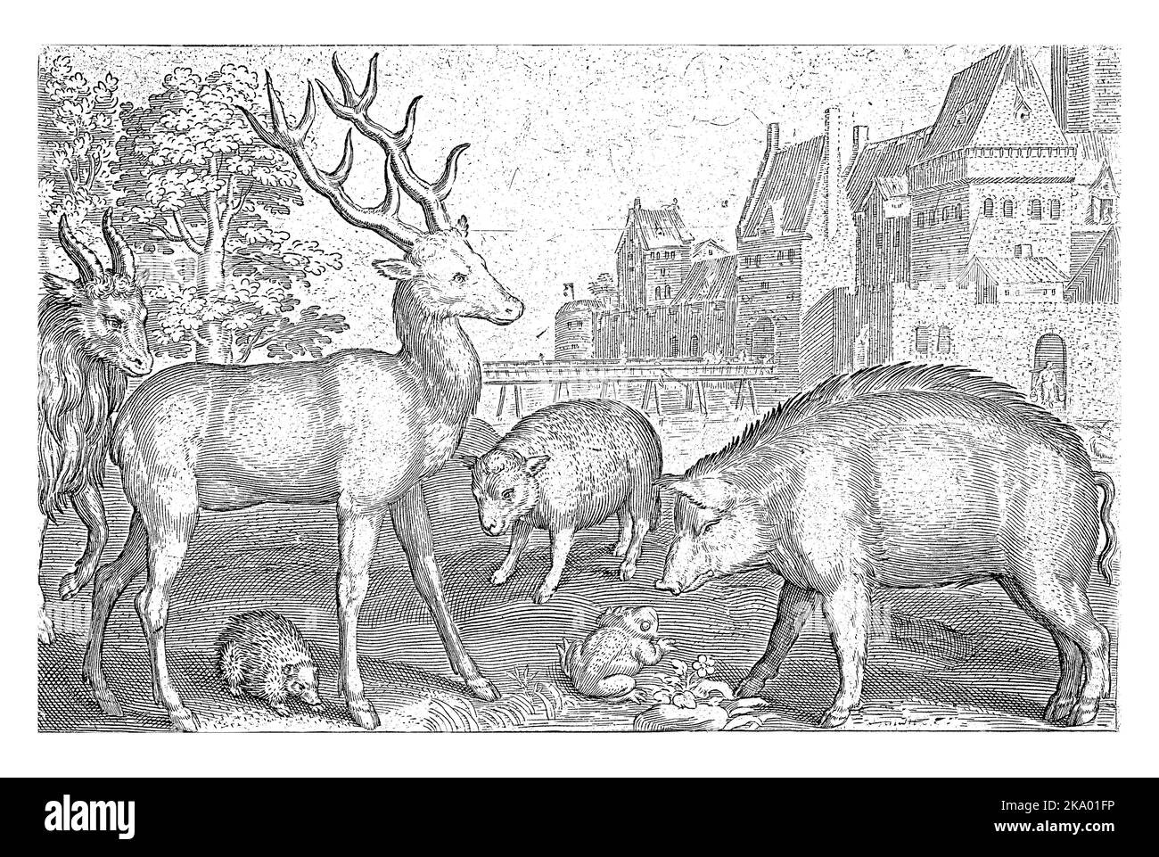 Hirsche, Igel, Schafe, Frosch und Schwein, Nicolaes de Bruyn, 1621, Vintage-Gravur. Stockfoto