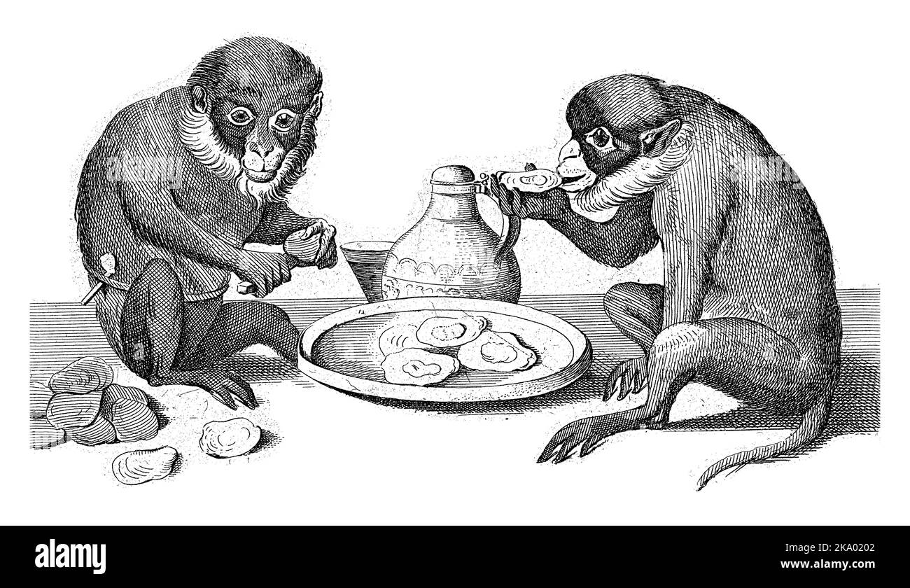 Zwei Affen sitzen neben einer Schale Austern. Die eine öffnet die Austern mit einem Messer, die andere schlingt nur eine Auster. Stockfoto
