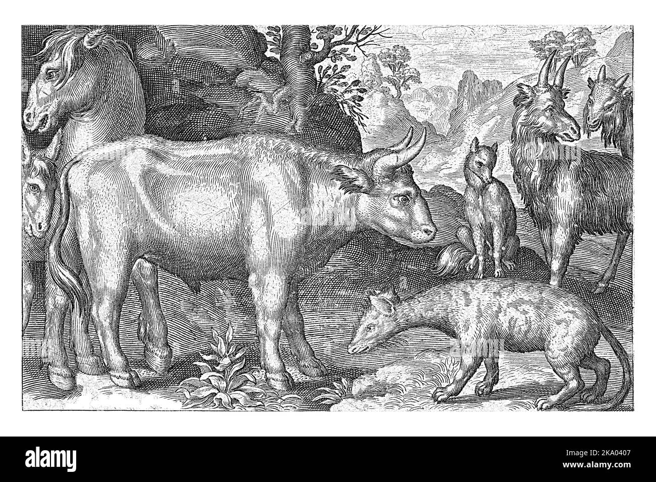 Bulle und andere Rinder und Hyena, Nicolaes de Bruyn, 1594, Jahrgang graviert. Stockfoto