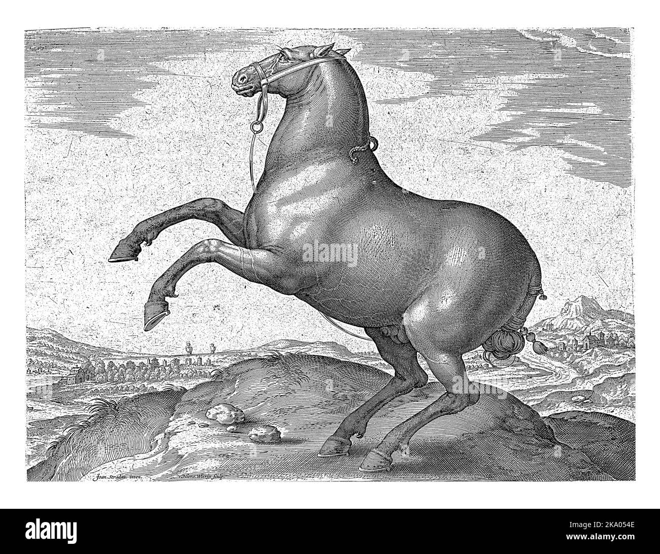 Ein skythisches Pferd, im Profil. Es regt sich auf. Der Druck hat eine lateinische Beschriftung und ist Teil des ersten Teils einer 39-teiligen Serie über die Pferderassen von Th Stockfoto