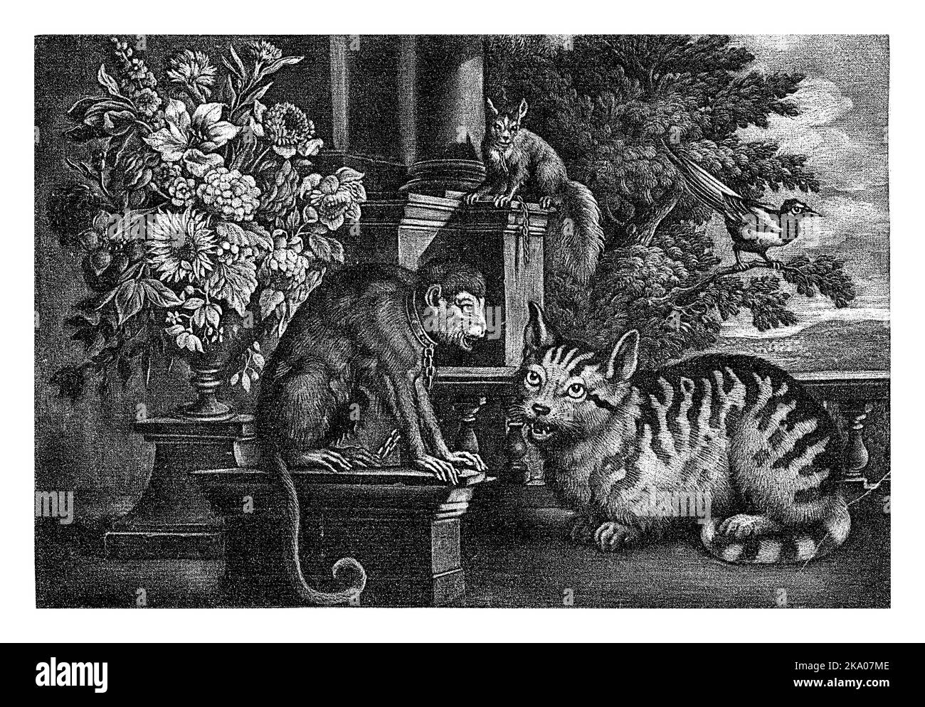Affe, Katze, Eichhörnchen und Elster, Jan Griffier (I), nach Francis Barlow, 1667 - 1717 Ein Affe und eine Katze sitzen auf einer Terrasse. Ein Eichhörnchen sitzt auf einem Stockfoto
