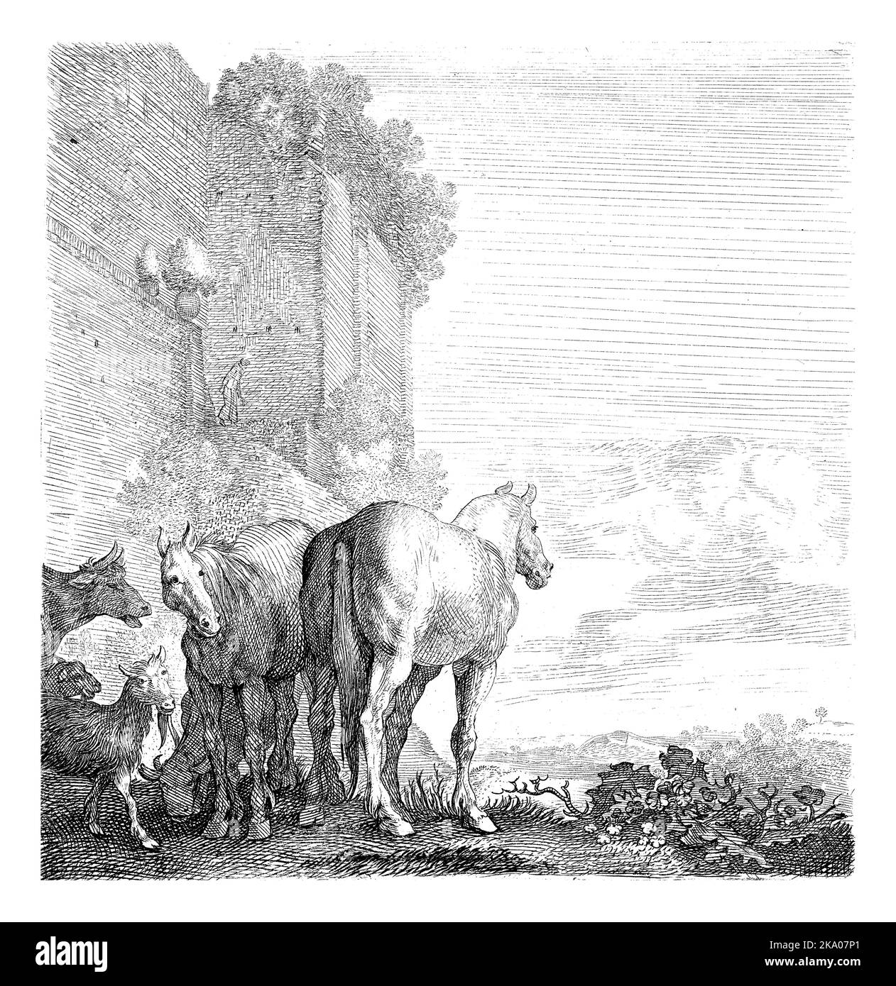 Zwei Pferde mit Ziegen und eine Kuh an einer hohen (Stadt-)Mauer Stockfoto