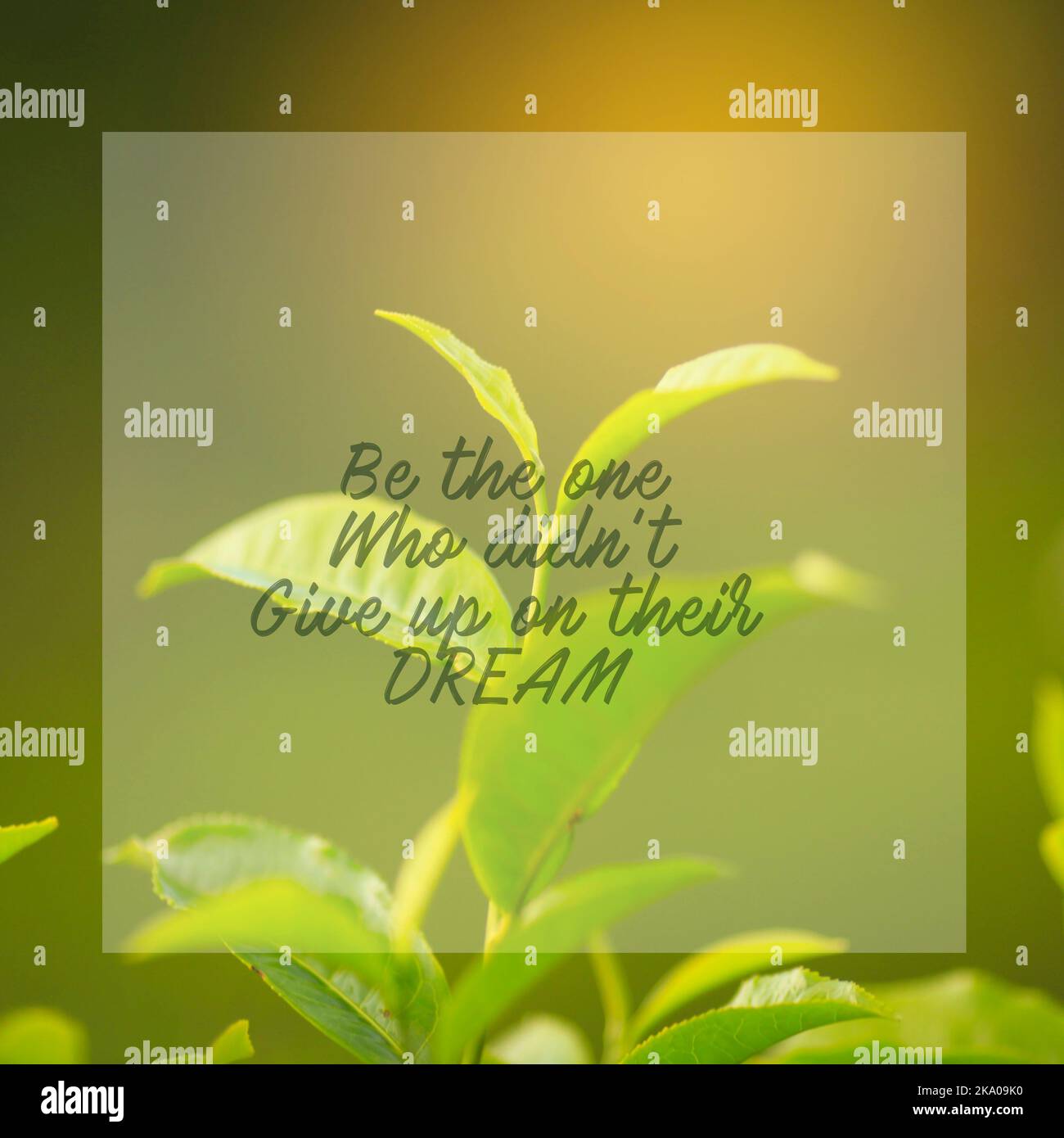 Motivations- und Inspirationszitate mit Phrase sind derjenige, der seinen Traum mit Naturhintergrund nicht aufgab Stockfoto