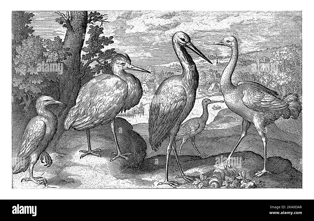 Stork, Crane, Heron und Sponbill, Nicolaes de Bruyn, 1594 Stockfoto