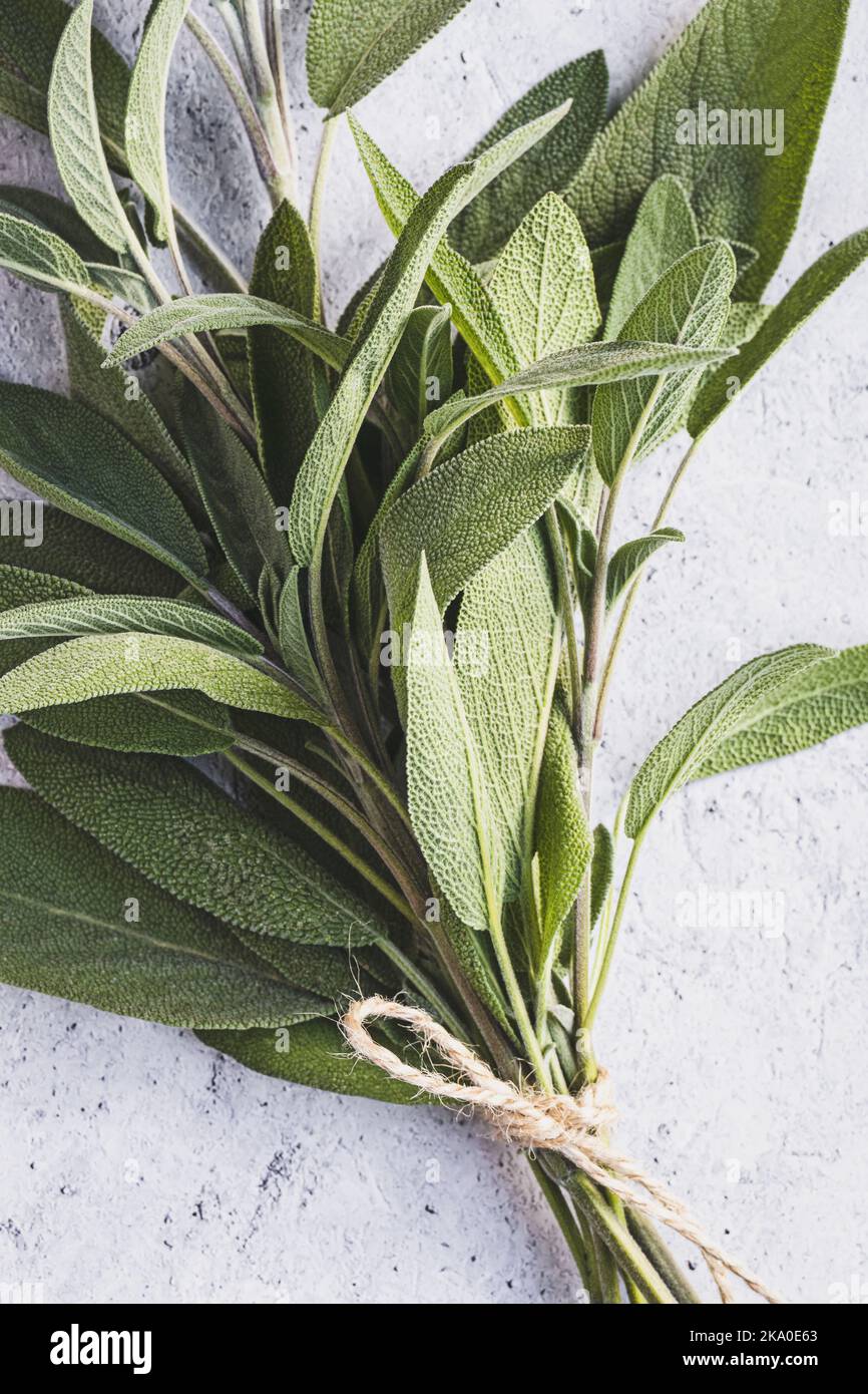 Bund grüner Salbei auf Küchentisch aus der Nähe Stockfoto