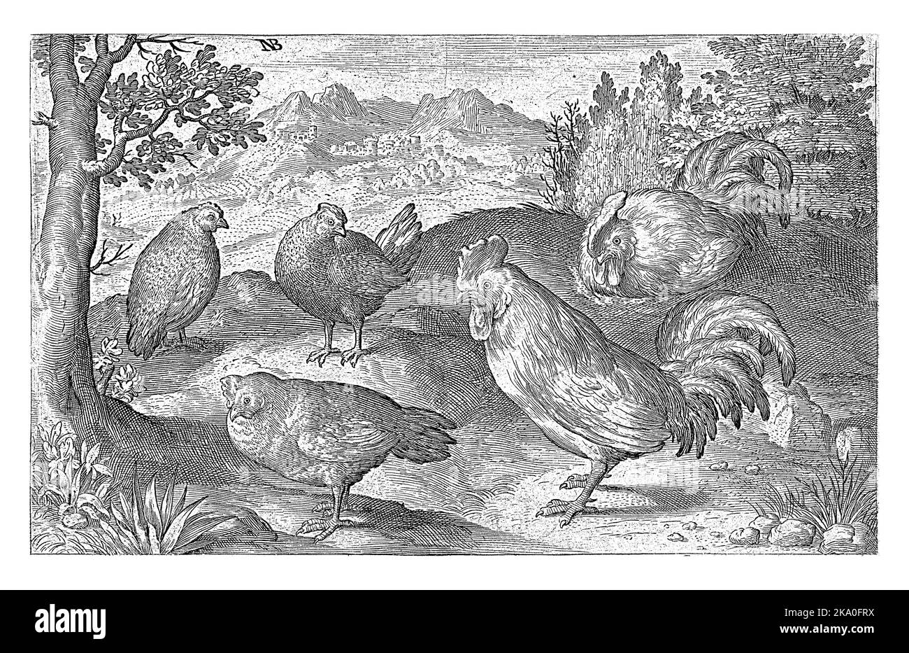 Drei Hühner und zwei Hahn, Nicolaes de Bruyn, 1594 Stockfoto