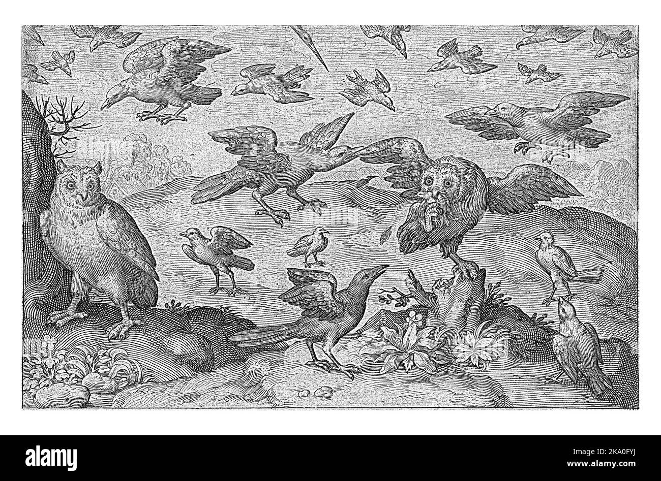 Eule von anderen Vögeln mit Beute angegriffen, Nicolaes de Bruyn, 1594 eine Eule hat einen kleinen Vogel gefangen und wird von anderen Vögeln, einschließlich Krähen, angegriffen. Ein secon Stockfoto