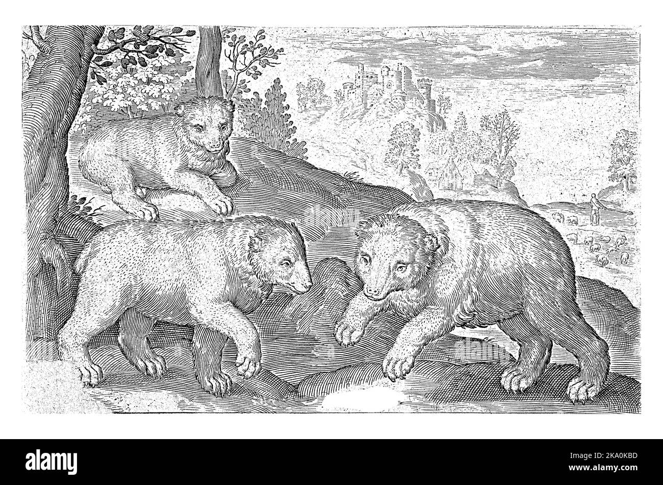 Drei Bären, Nicolaes de Bruyn, 1621, Jahrgang graviert. Stockfoto