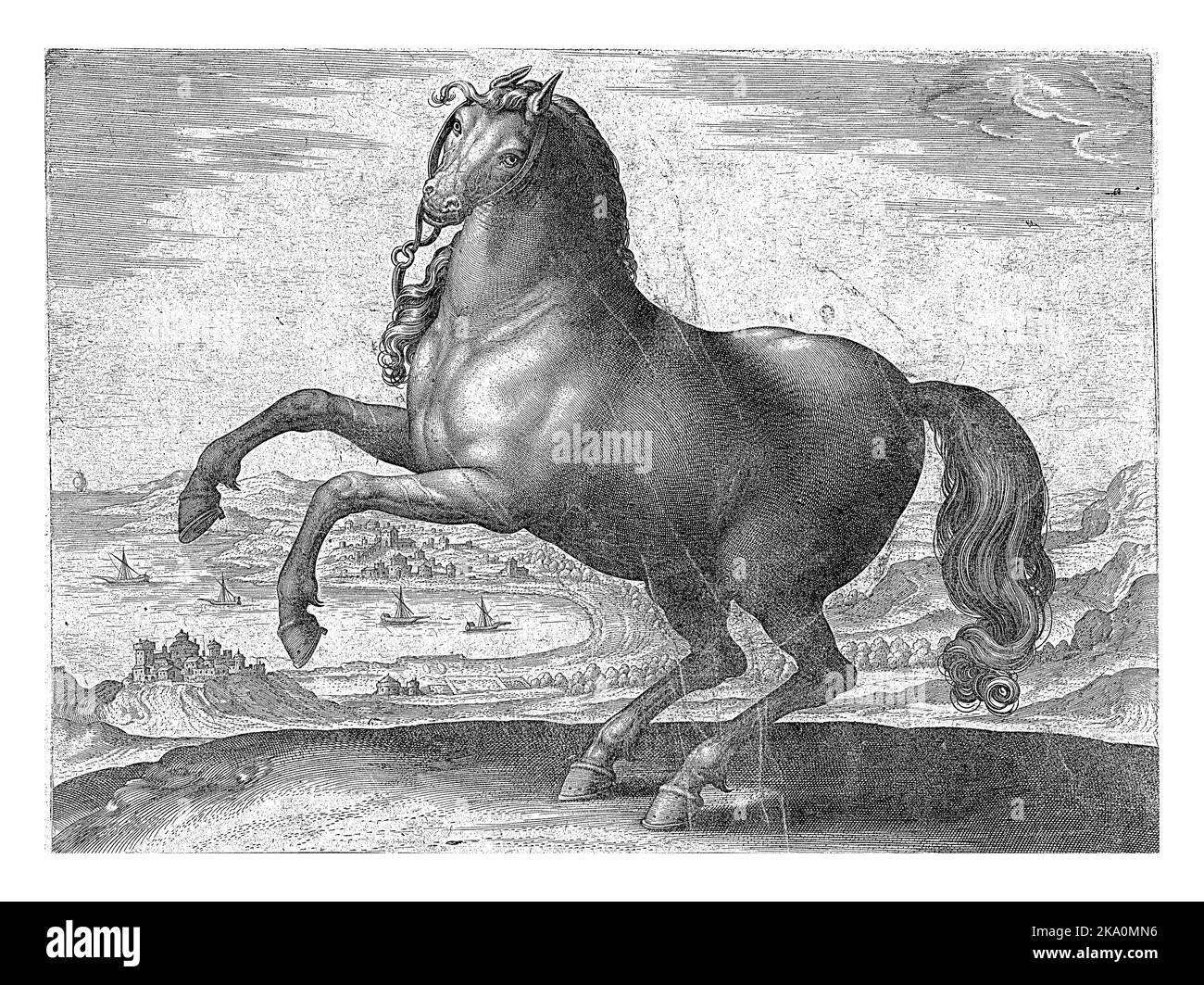 Ein süditalienisches Pferd (Appulus), im Profil. Es regt sich auf. Der Druck hat eine lateinische Beschriftung und ist Teil des ersten Teils einer 39-teiligen Serie über das ho Stockfoto
