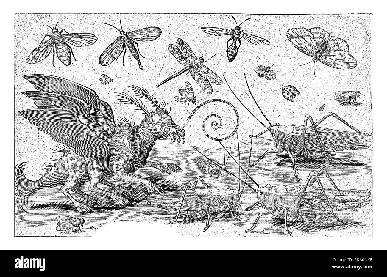 Heuschrecken und Fantasiewesen mit Flügeln und Webfüßen, Nicolaes de Bruyn, 1594 Stockfoto