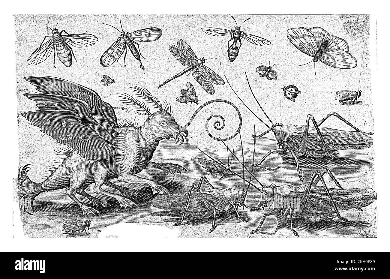 Heuschrecken und Fantasiewesen mit Flügeln und Webfüßen, Nicolaes de Bruyn, 1594 Stockfoto