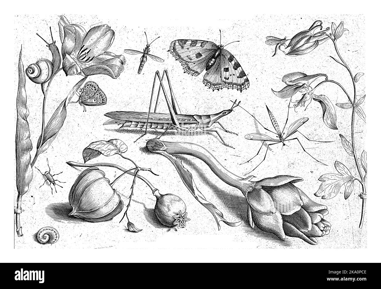 Druck aus einer Serie von 48 Abzügen, aufgeteilt in vier separate Teile zu je zwölf Abzügen. Unten rechts erwähnt: [Teil] 1. Oben und unten ein Scheitelpunkt Stockfoto