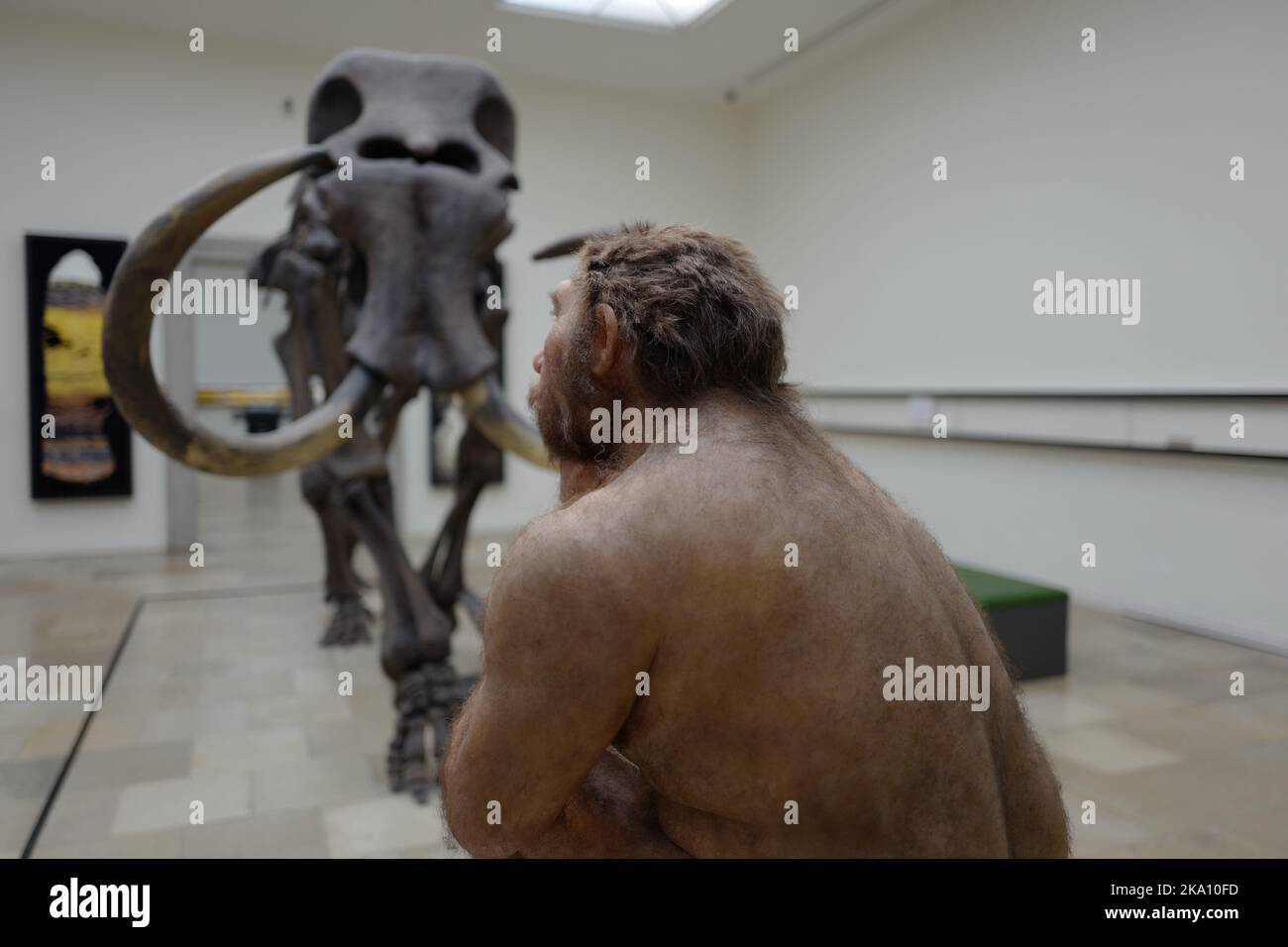Prähistorischer Mann, der vor einem Mammutskelett nachdenkt Stockfoto