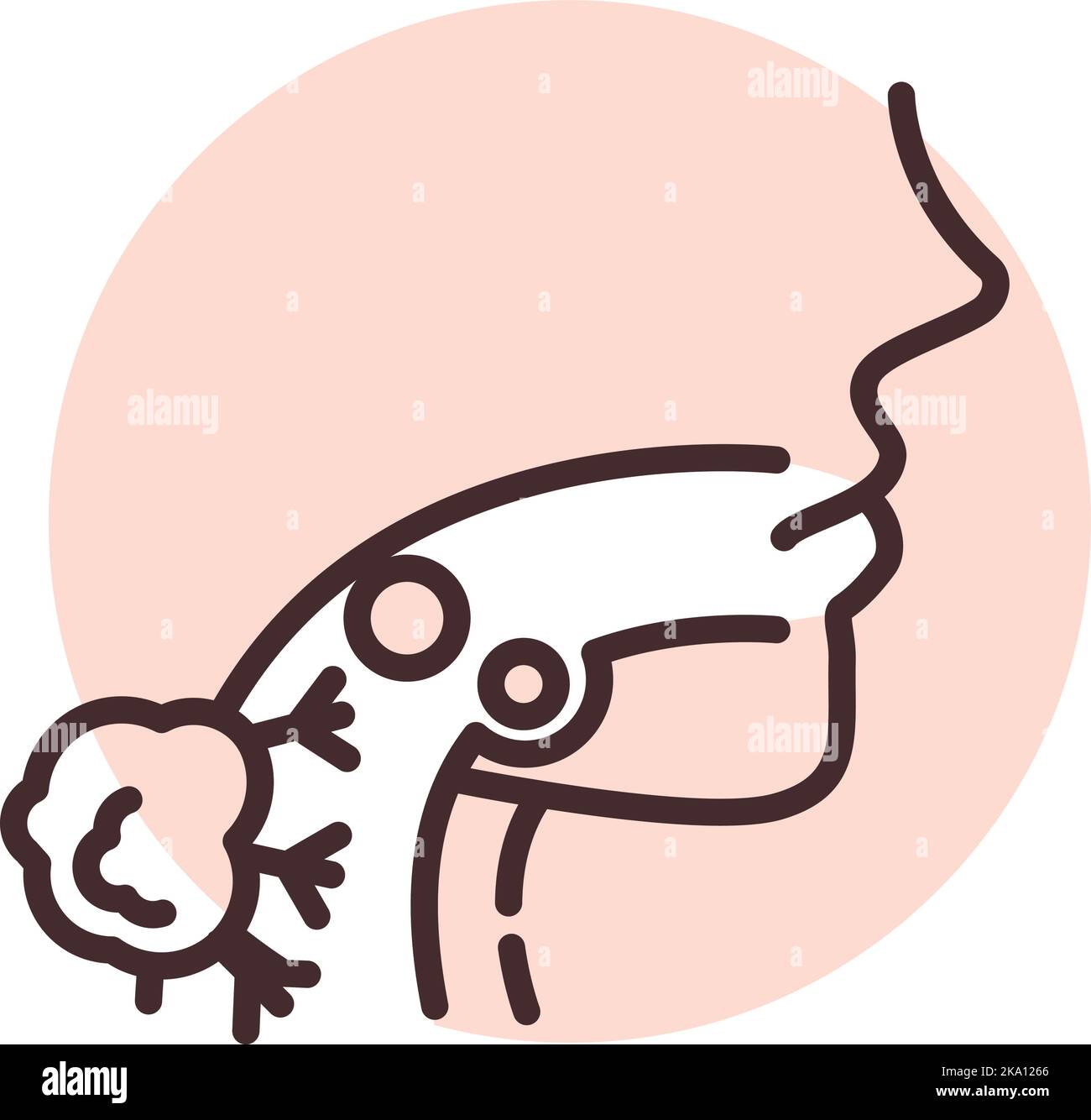Medizinische Schilddrüse, Illustration oder Symbol, Vektor auf weißem Hintergrund. Stock Vektor