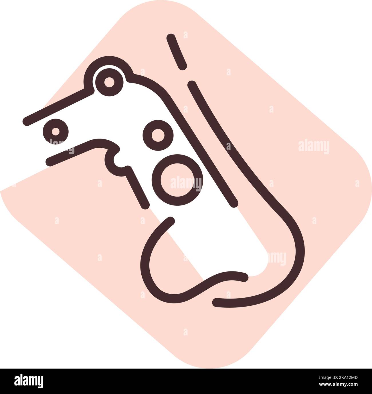 Medizinisches Naisal, Illustration oder Symbol, Vektor auf weißem Hintergrund. Stock Vektor