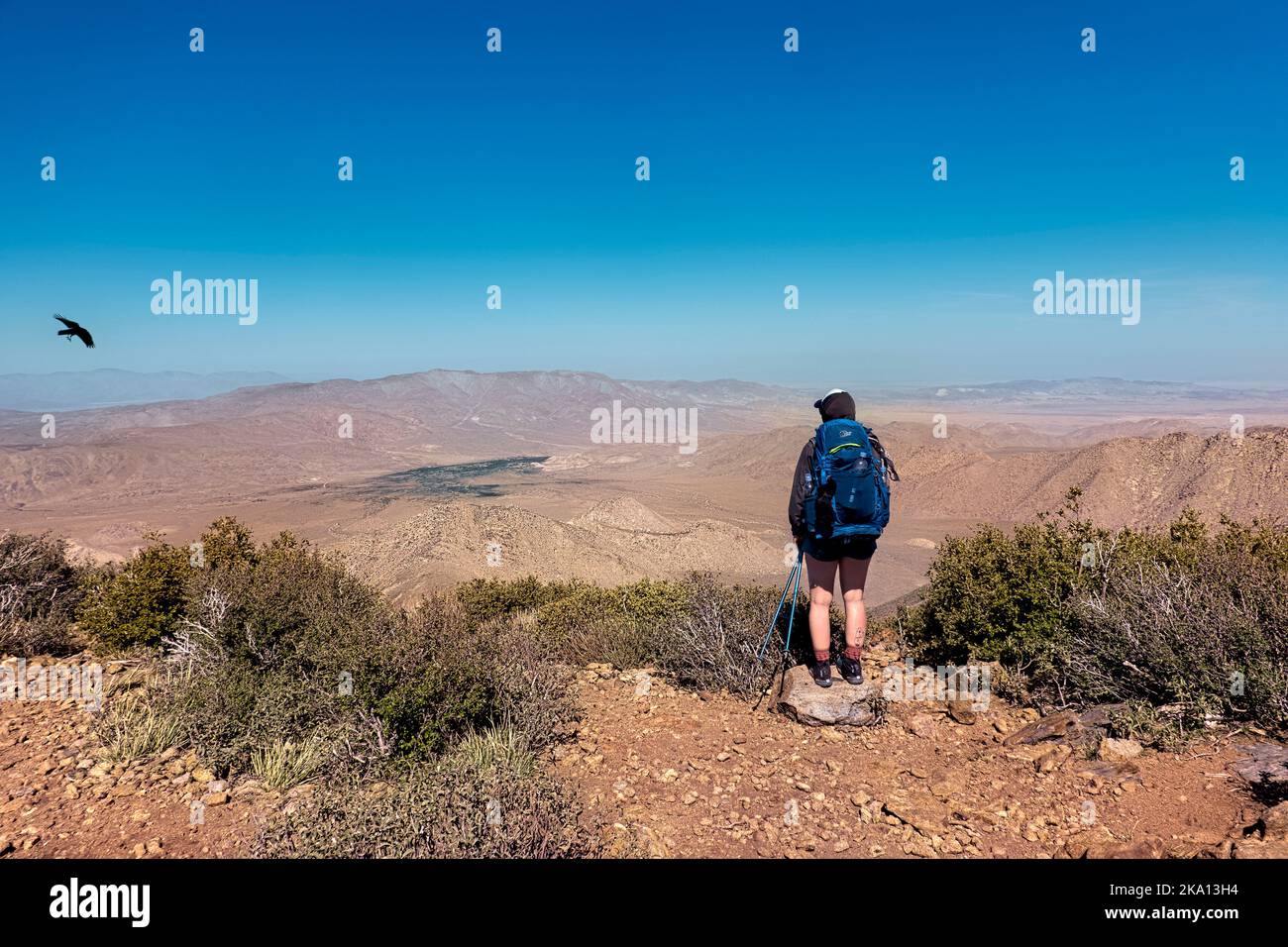 Wandern über der Wüste Anza Borrego auf dem Pacific Crest Trail, Mt. Laguna, Kalifornien, USA Stockfoto