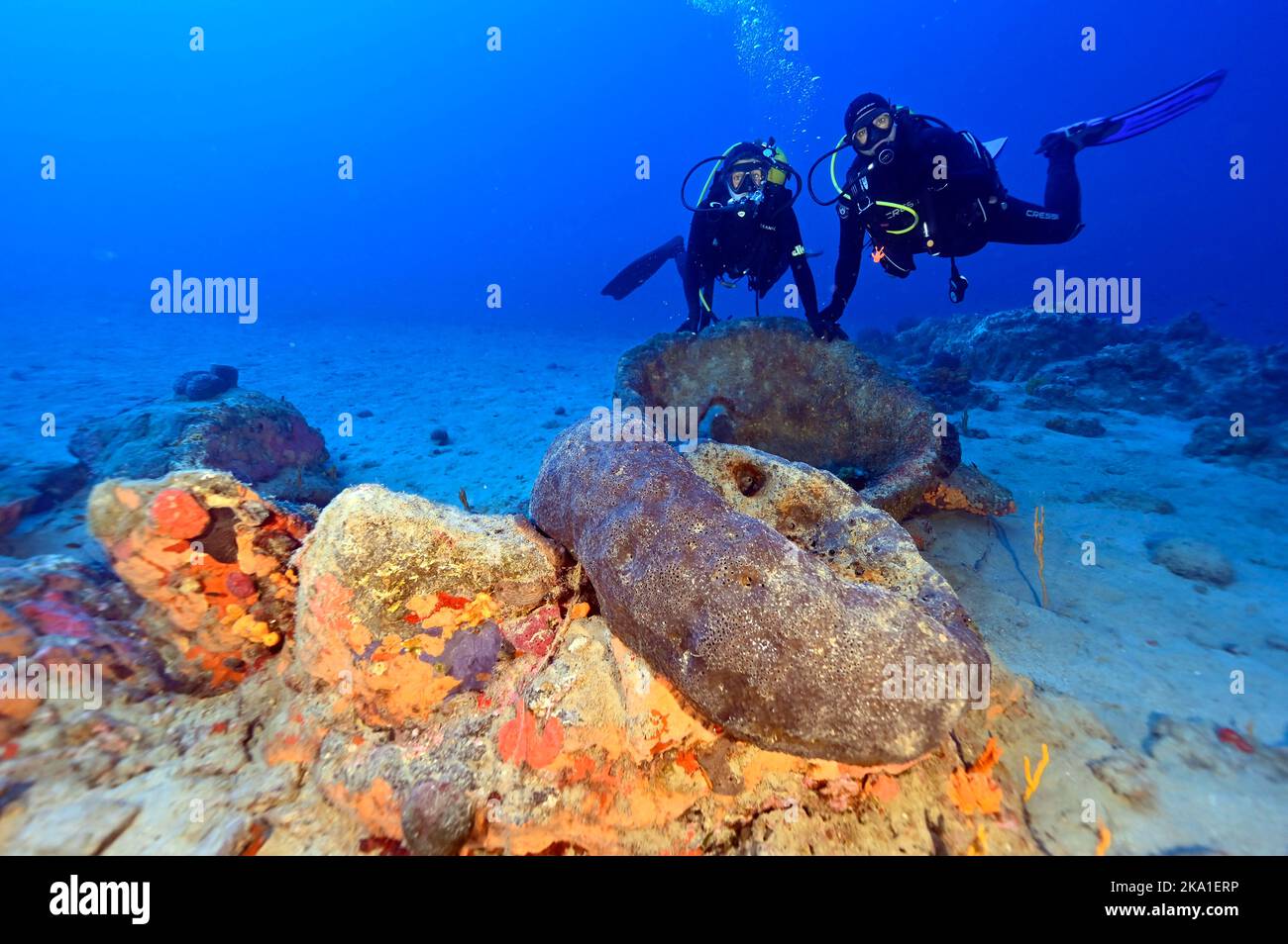 Meeresbiologen untersuchen riesige Schwämme von 40-50 Jahren in der Gokova Bay Marine Protected Area Türkei Stockfoto