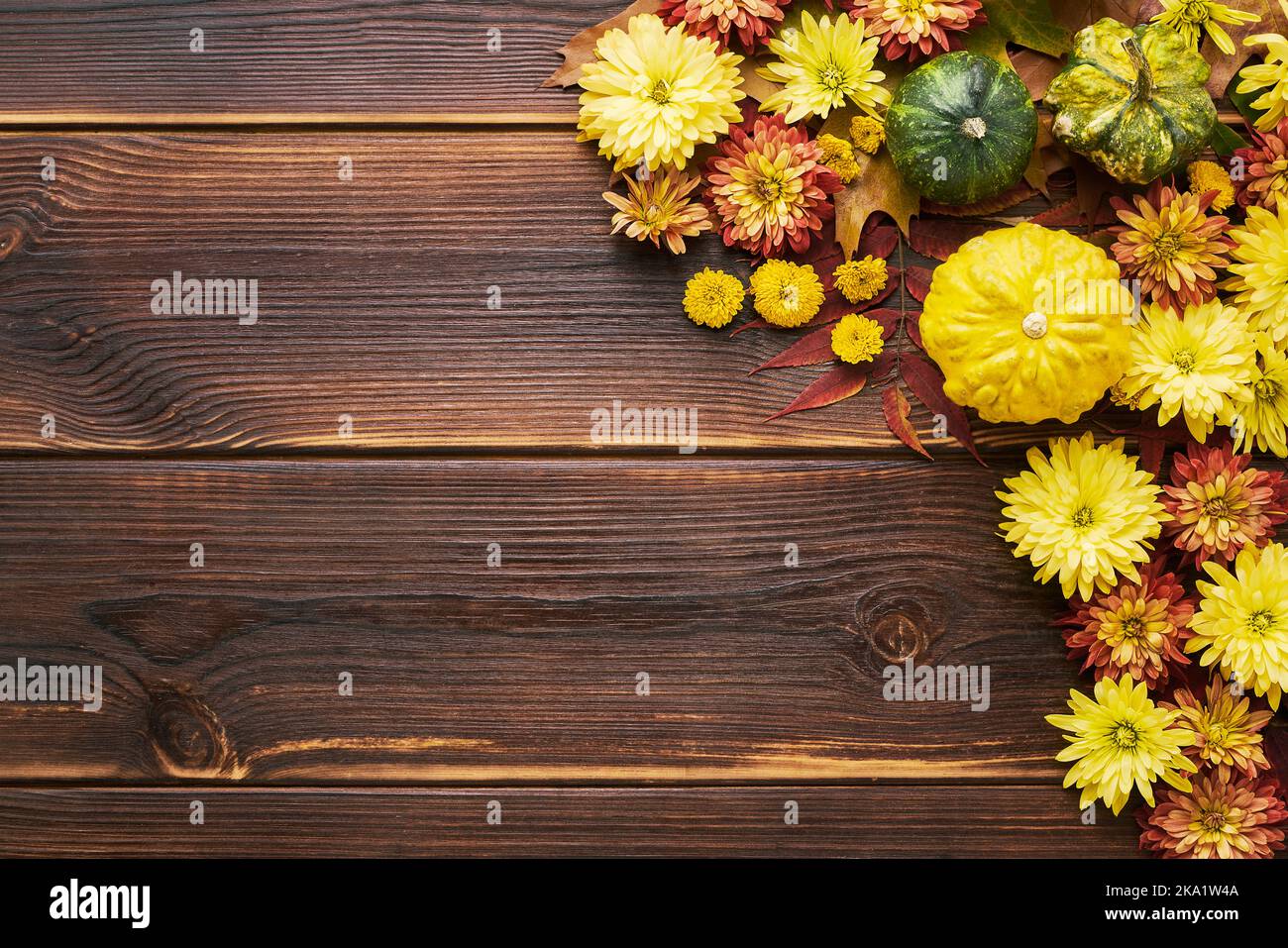 Herbstlicher Hintergrund mit Kürbissen und bunten Herbstblättern auf einem dunklen Holztisch. Happy Thanksgiving Day Konzept. Flach liegend, Platz für Text kopieren Stockfoto