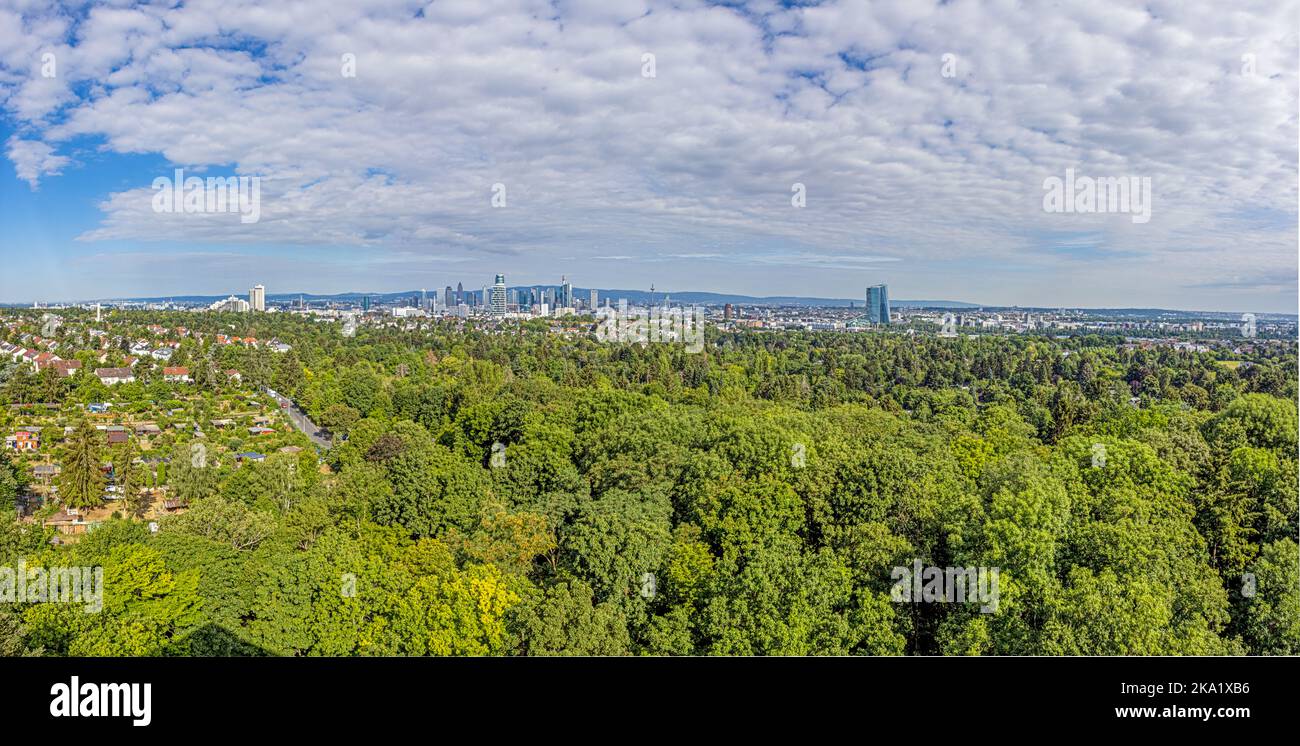 Panoramablick auf die Frankfurter Skyline, aufgenommen vom Goethe-Turm während des Tages im Sommer Stockfoto