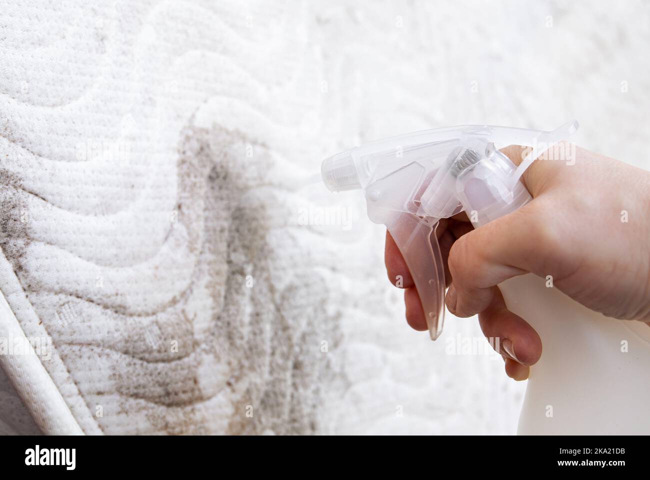 Person sprüht Essiglösung auf die Spritzgussmatratze im Heimaraum, um Flecken zu entfernen. Verschimmelte Matratze waschen, Schimmelpilzkonzept entfernen. Stockfoto