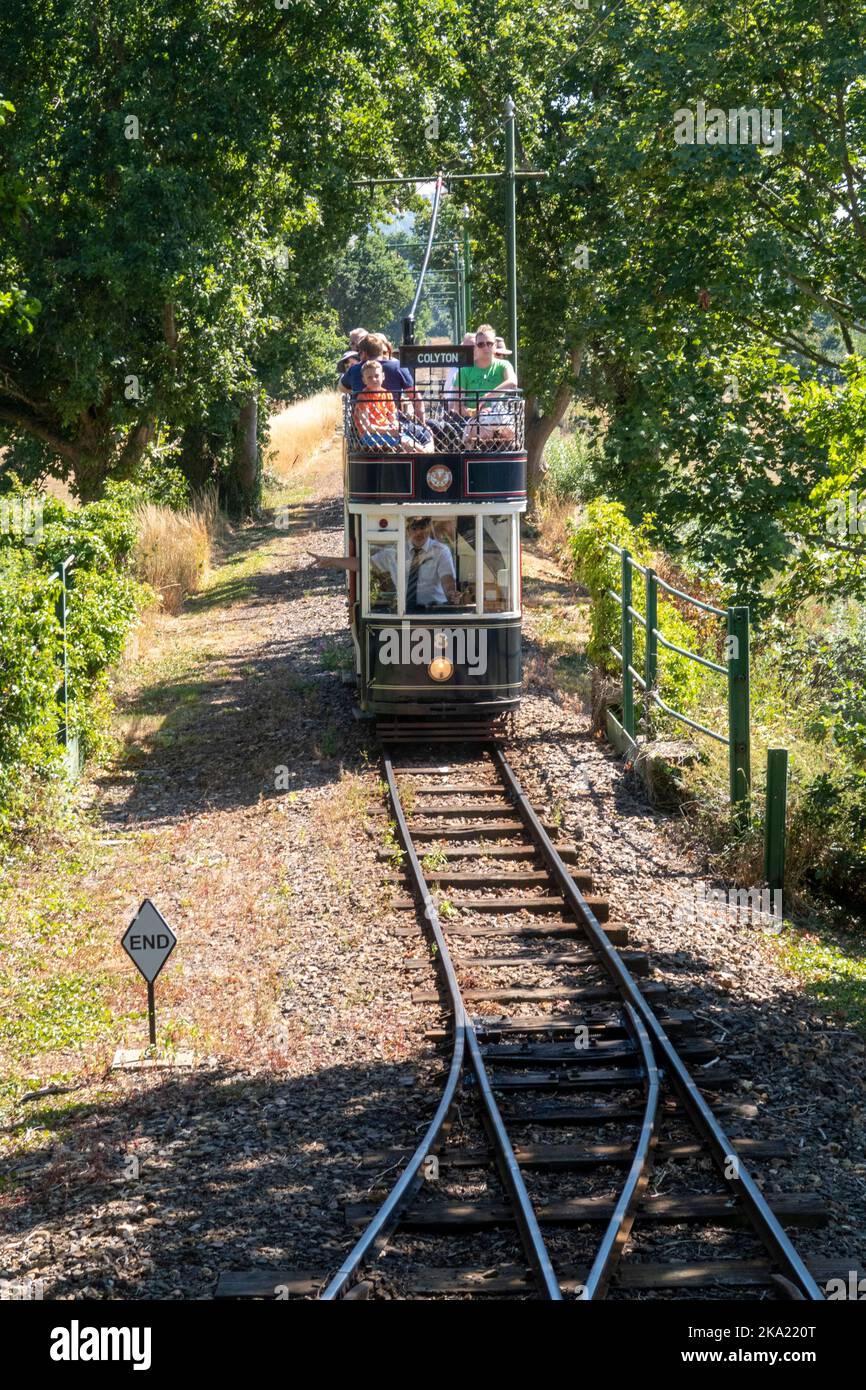 Straßenbahnen auf der Straßenbahn von Seaton, einer Touristenattraktion von East Devon, die zwischen Seaton und Colyton verkehrt. Stockfoto