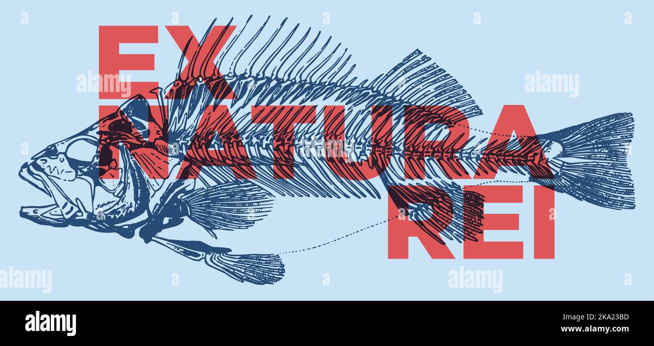 Ex Natura Rei. Lateinische Phrase - aus der Natur der Angelegenheit. Stock Vektor