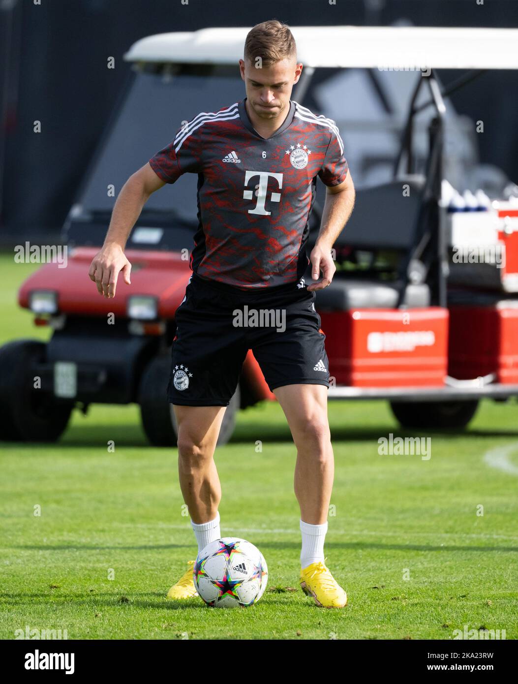 München, Deutschland. 31. Oktober 2022. Fußball: Champions League, Bayern München - Inter Mailand, Gruppenphase, Gruppe C, Matchday 6. Abschlusstraining FC Bayern auf dem Trainingsgelände in der Säbener Straße. Joshua Kimmich spielt den Ball. Quelle: Sven Hoppe/dpa/Alamy Live News Stockfoto