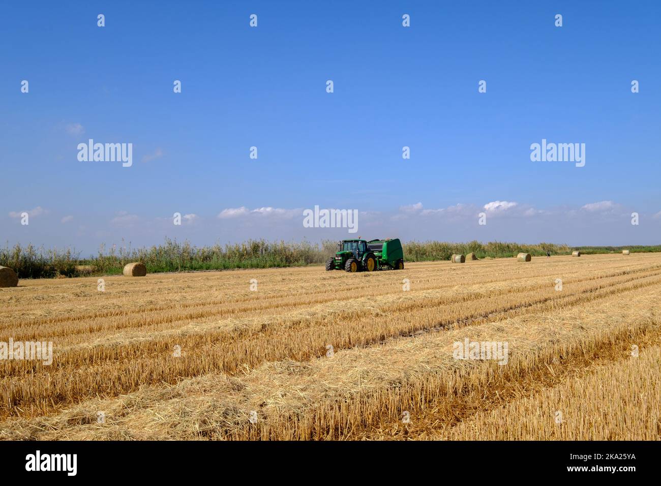 Herstellung von Ballen Traktor in der Reisernte Saison valencia spanien Stockfoto