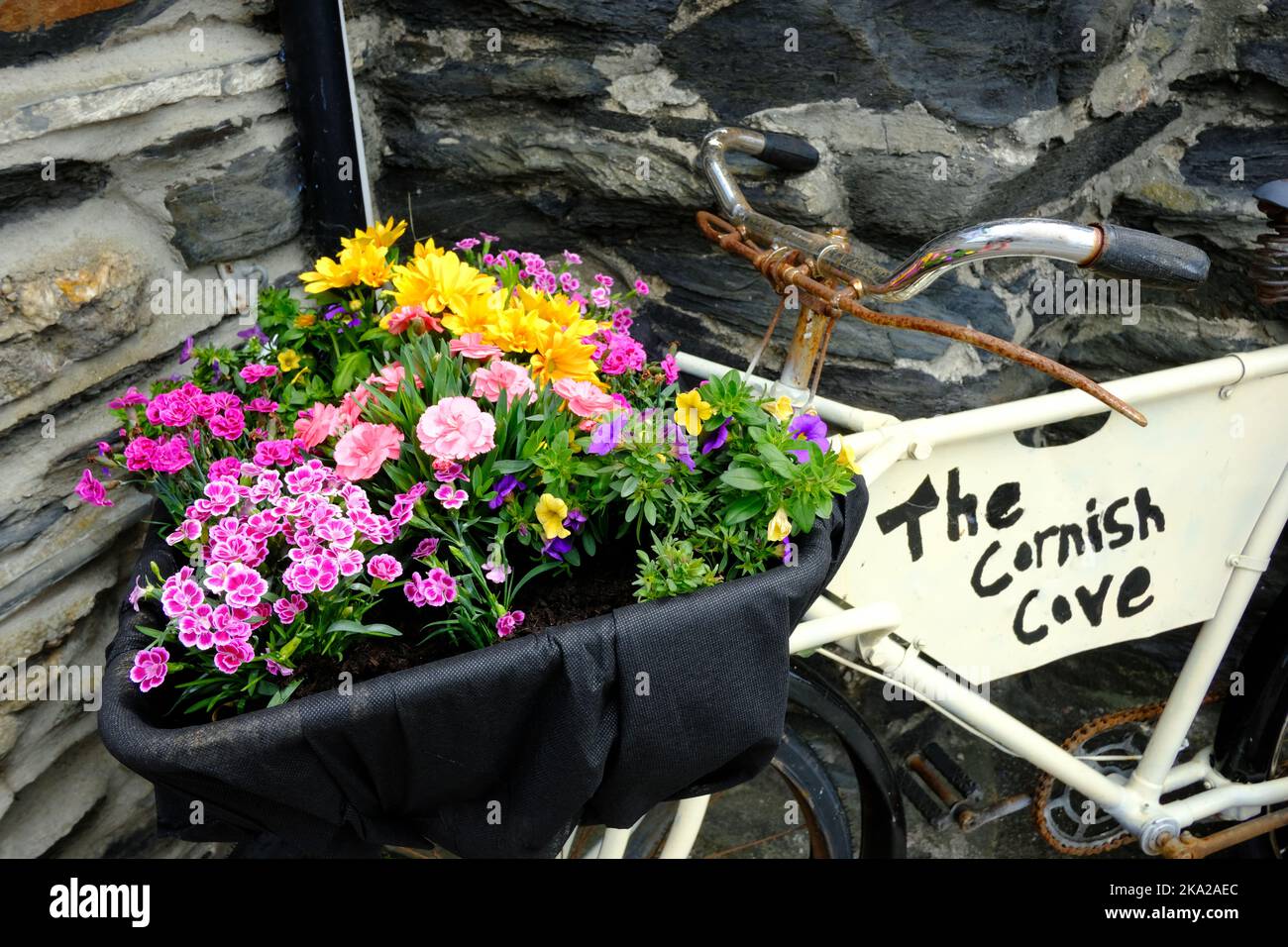 Ein altes Fahrrad, das als Werbemedium verwendet wurde, Port Isaac, Cornwall, Großbritannien - John Gollop Stockfoto