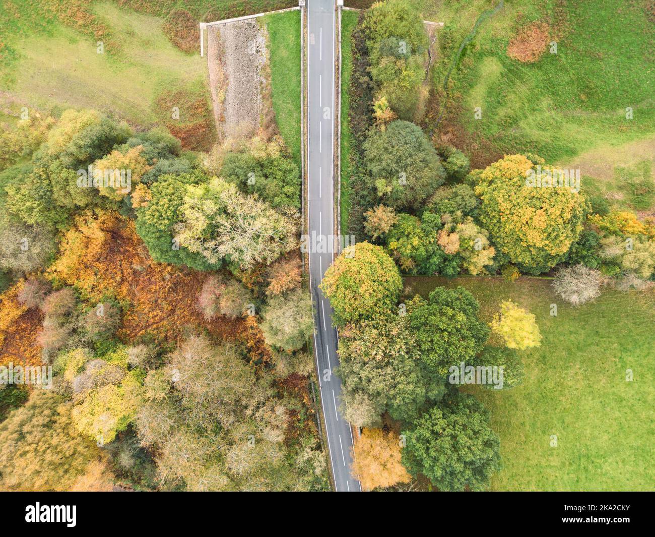 Luftaufnahme einer geraden Straße durch Herbstwälder in North Yorkshire, Großbritannien. B6451 Autobahn durch die Landschaft von Yorkshire Dales. Stockfoto