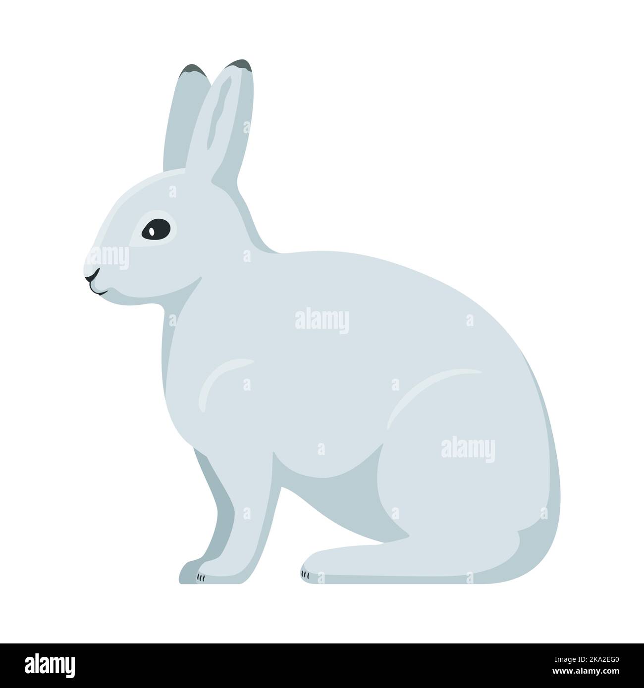 Arktischer Hase. Vektordarstellung eines weißen polaren arktischen Hasen isoliert auf Weiß. Flaches Design, Seitenansicht. Stock Vektor