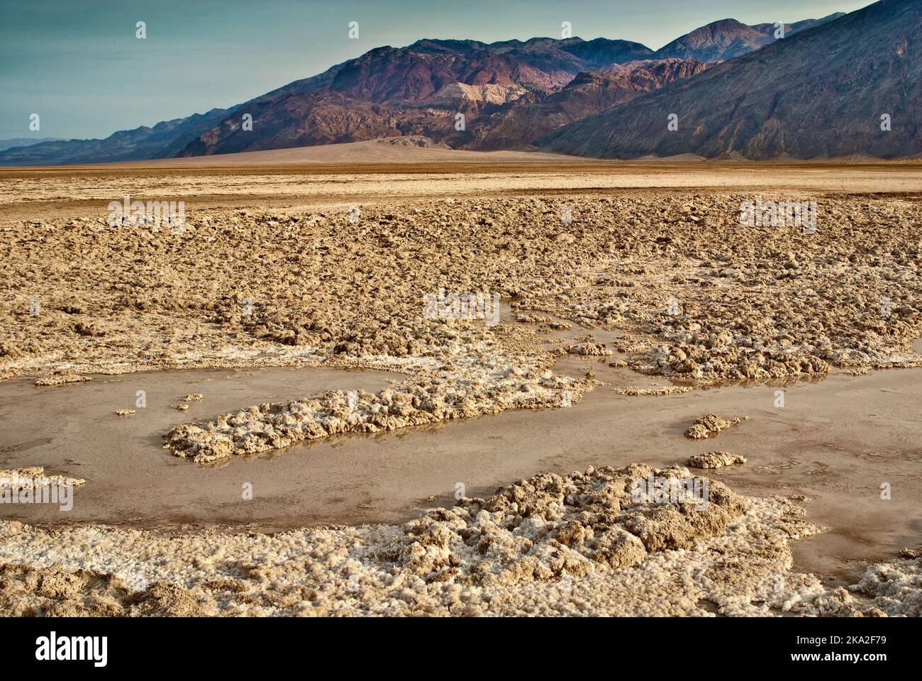 Salzkruste und kürzlich reges Regenwasser in der Mojave Desert, Black Mountains in der Nähe von Mormon Point im Death Valley National Park, Kalifornien, USA Stockfoto