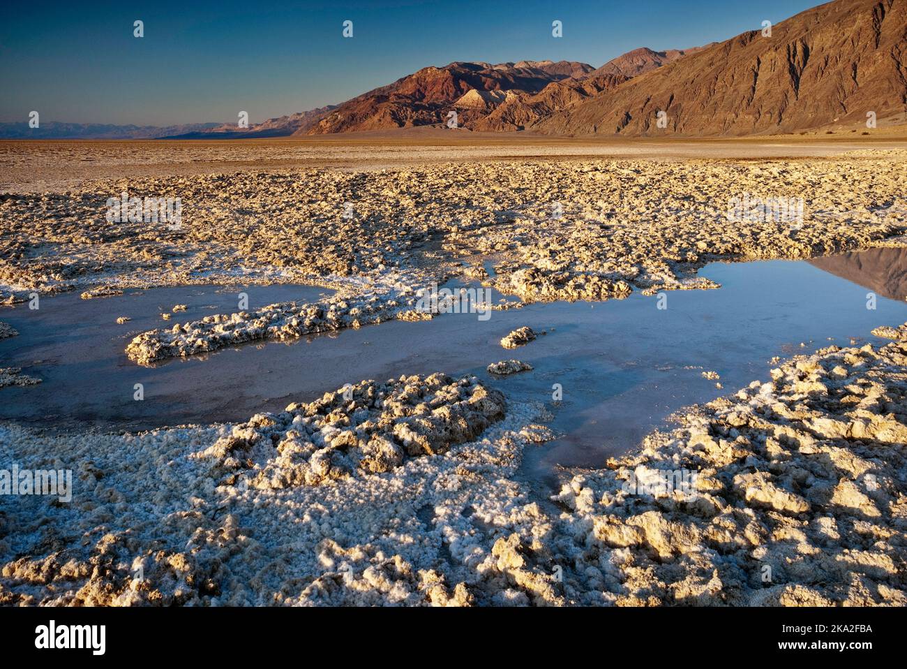 Salzkruste und reges Regenwasser in der Mojave Desert, Sonnenuntergang, Black Mountains in der Nähe von Mormon Point im Death Valley National Park, Kalifornien, USA Stockfoto