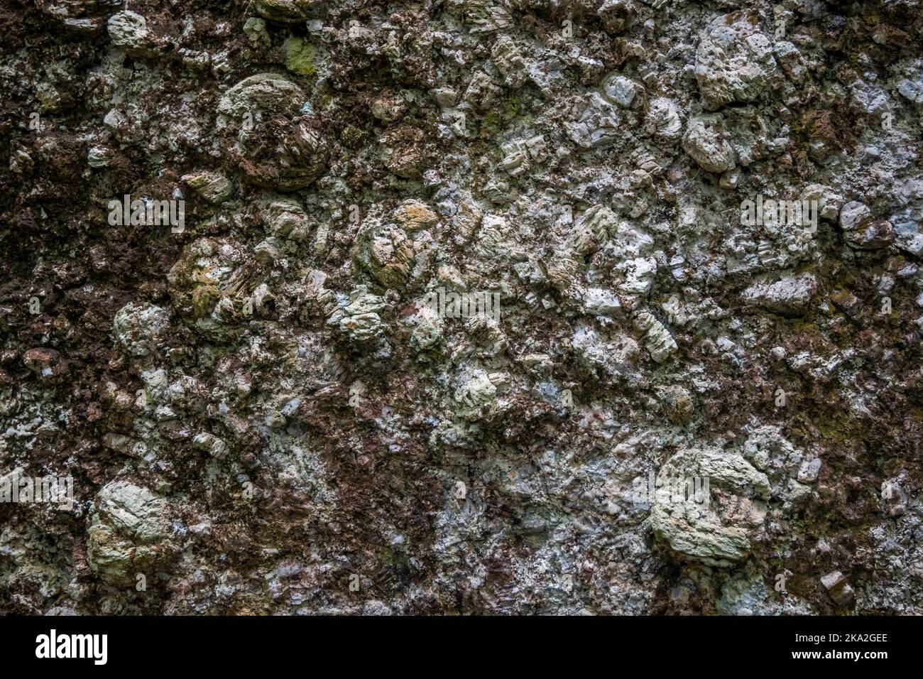 Verwitterte Oberflächen von metamorphem Gesteinsgneis mit großen Feldspieren. Roraima State, Brasilien. Stockfoto