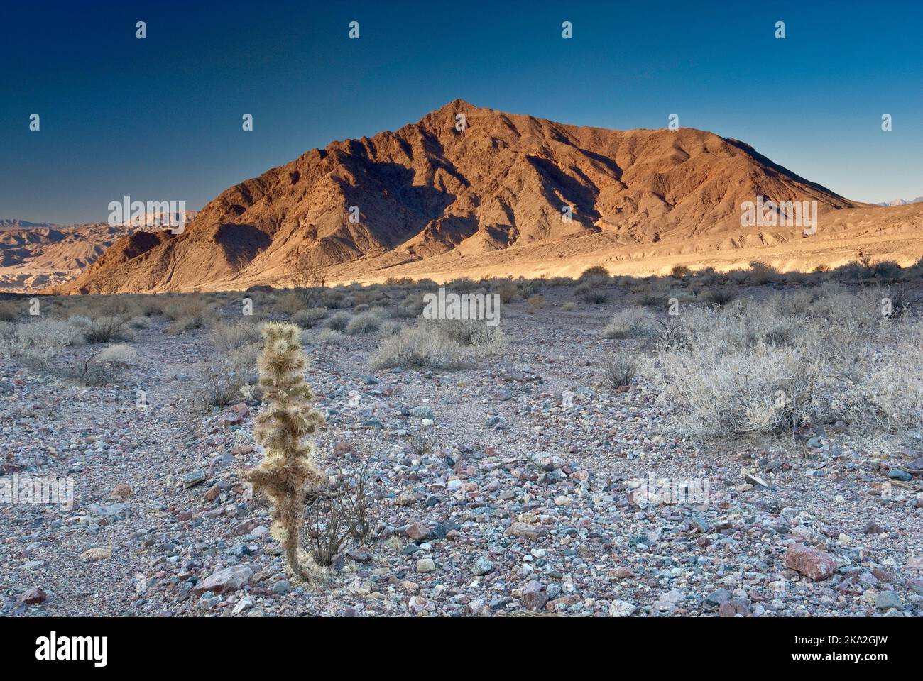 Sheephead Mountain von Salsberry Spring Area in der Nähe von Salsberry Pass, Mojave Desert, Death Valley National Park, Kalifornien, USA Stockfoto