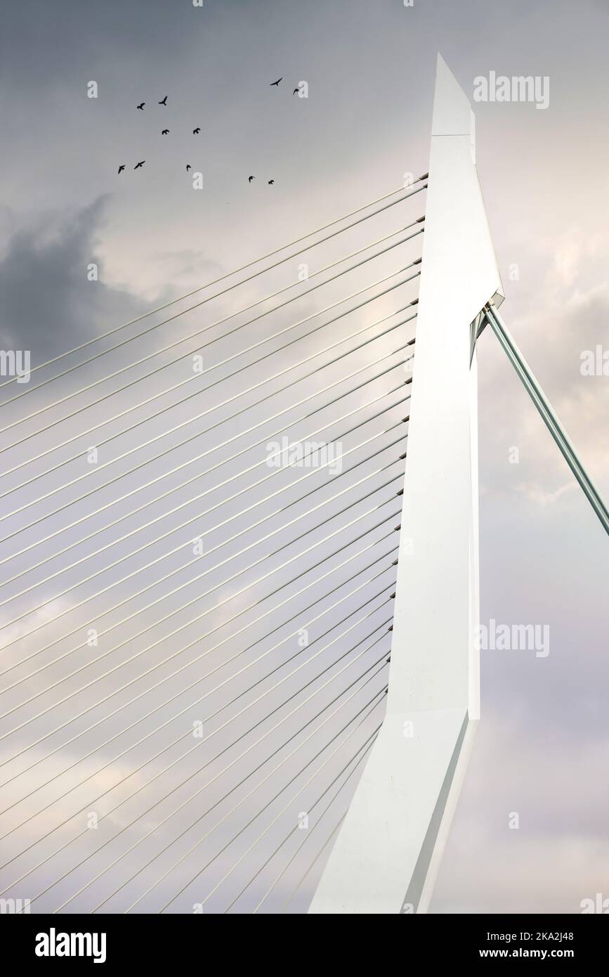 Hängebrücken und Abhängen mit nahe U des Turms, der Kabel und den Sonnenuntergang zeigt. Stockfoto