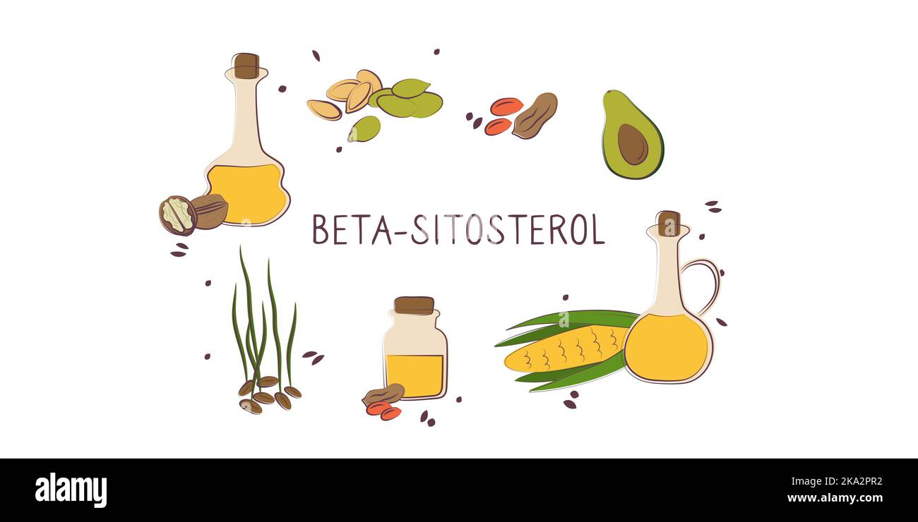Beta-Sitosterol-haltige Lebensmittel. Gruppen von gesunden Lebensmitteln mit Vitaminen und Mineralstoffen. Set aus Obst, Gemüse, Fleisch, Fisch und Milchprodukten. Stock Vektor