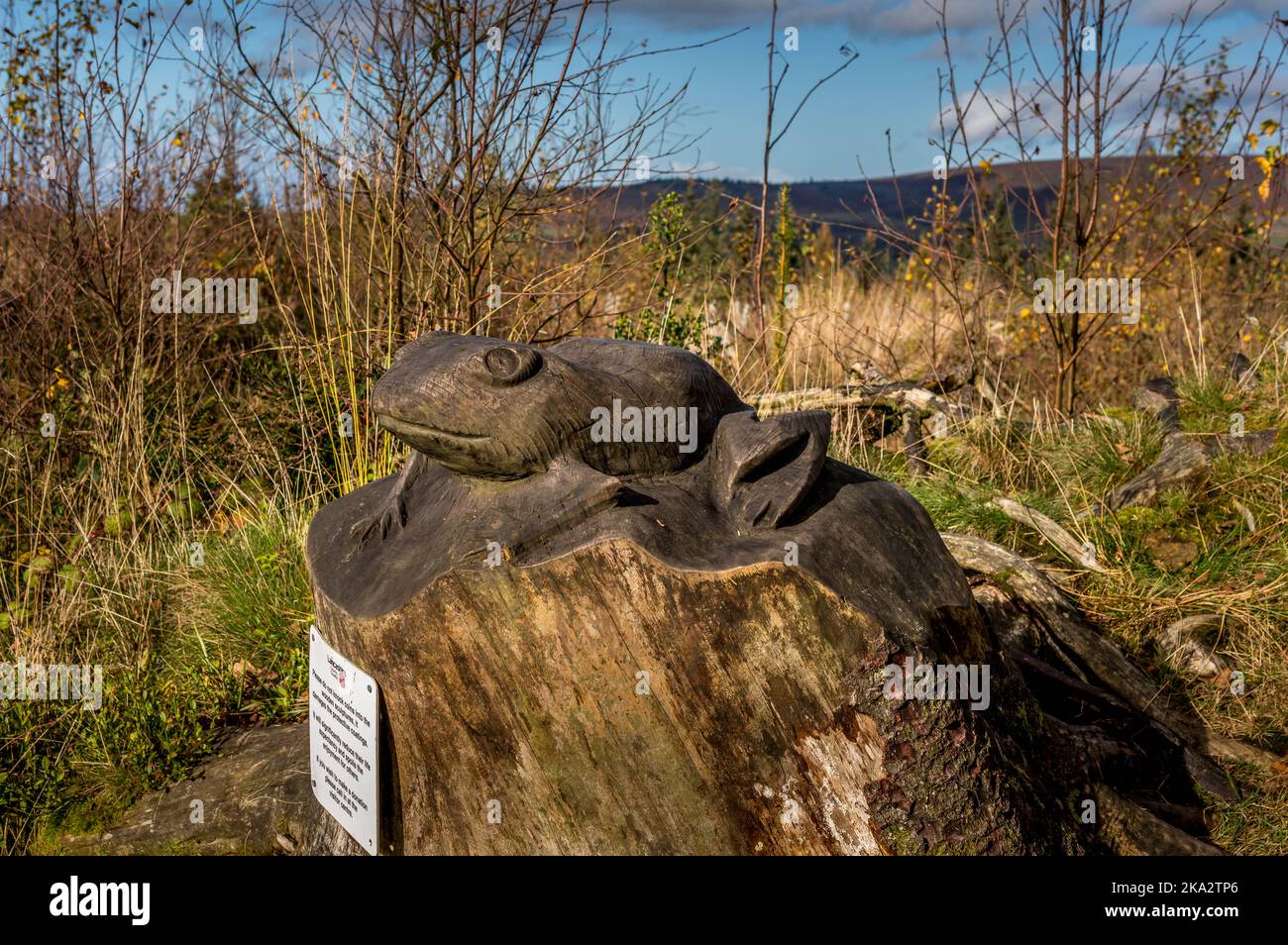 Beacon fiel in Lancashire, Großbritannien Stockfoto