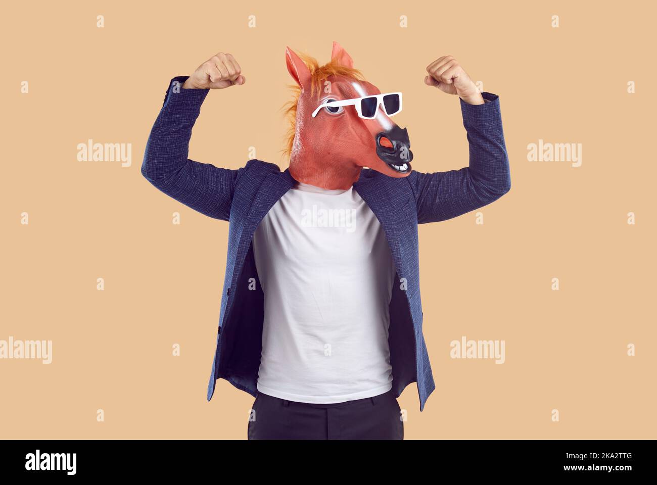Mann im Anzug, lustige Pferdemaske und Sonnenbrille zeigt seine Kraft und beugt seine Arme Stockfoto