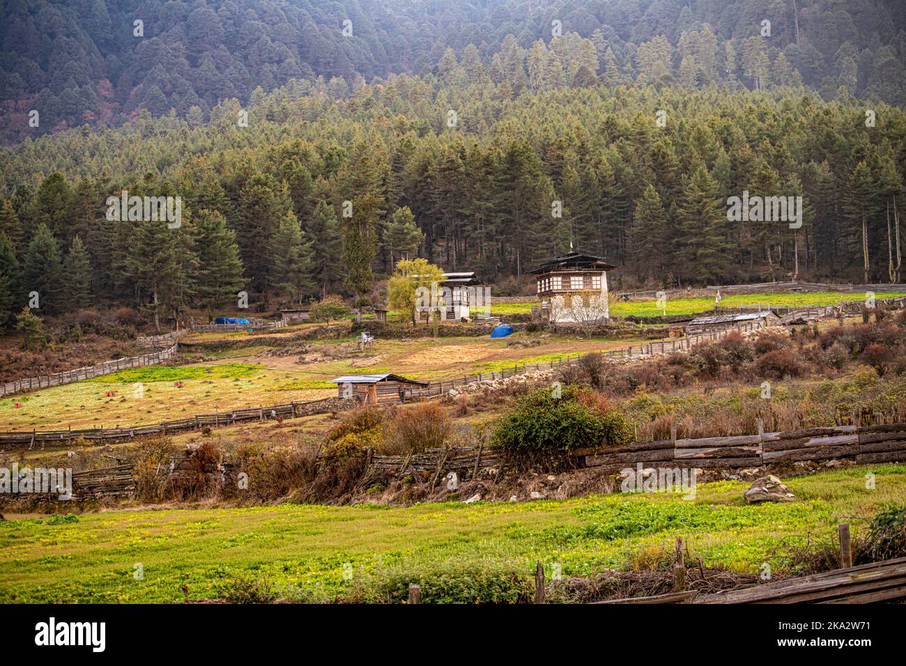 Eine schöne Aufnahme des ländlichen Phobjikha Valley, Wangdue Phodrang, Bhutan Stockfoto
