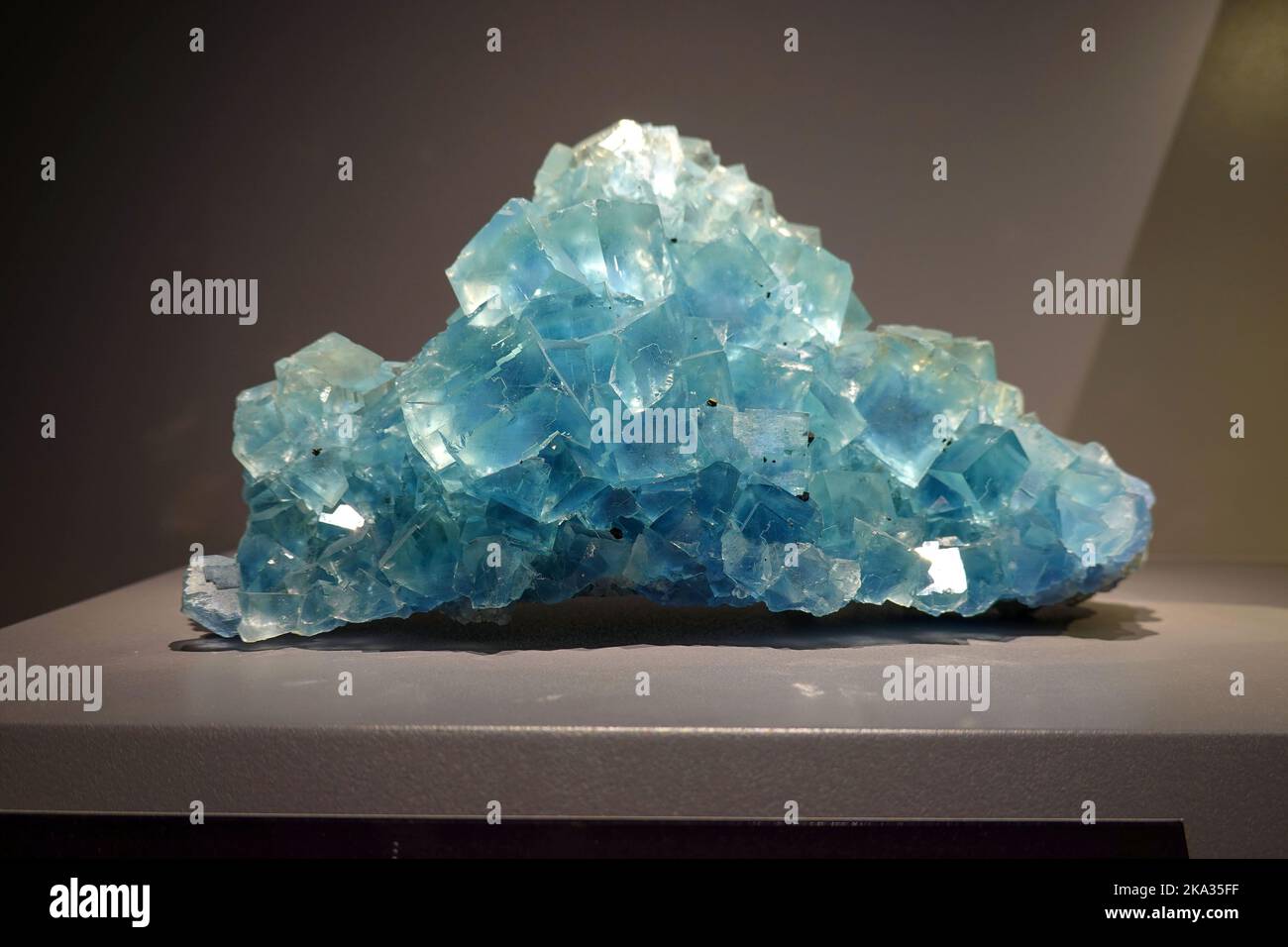 Frankreich, Paris, Nationalmuseum für Naturkunde, Galerie für Mineralogie und Geologie im Jardin des plantes. Die Galerie zeigt eine Sammlung Stockfoto