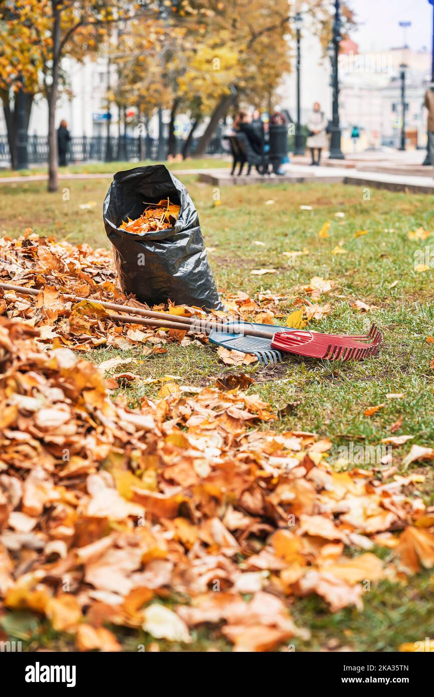 City Street in der Herbstsaison, Reinigung fallen Blätter. Weicher, selektiver Fokus Stockfoto