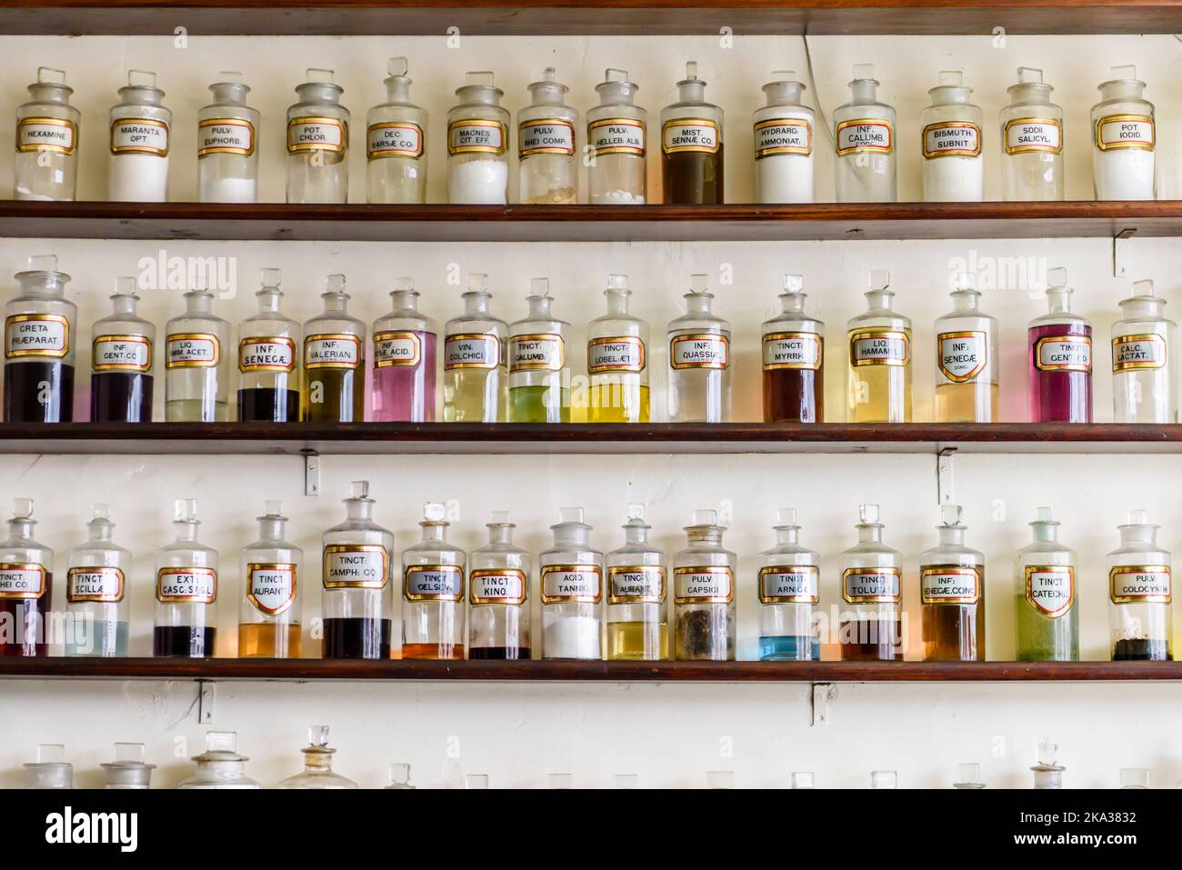 Große Anzahl von Glasgefäßen mit Chemikalien, Kräutern und Tinkturen in einem altmodischen Apothekengeschäft aus dem 19.. Jahrhundert 1800s. Stockfoto