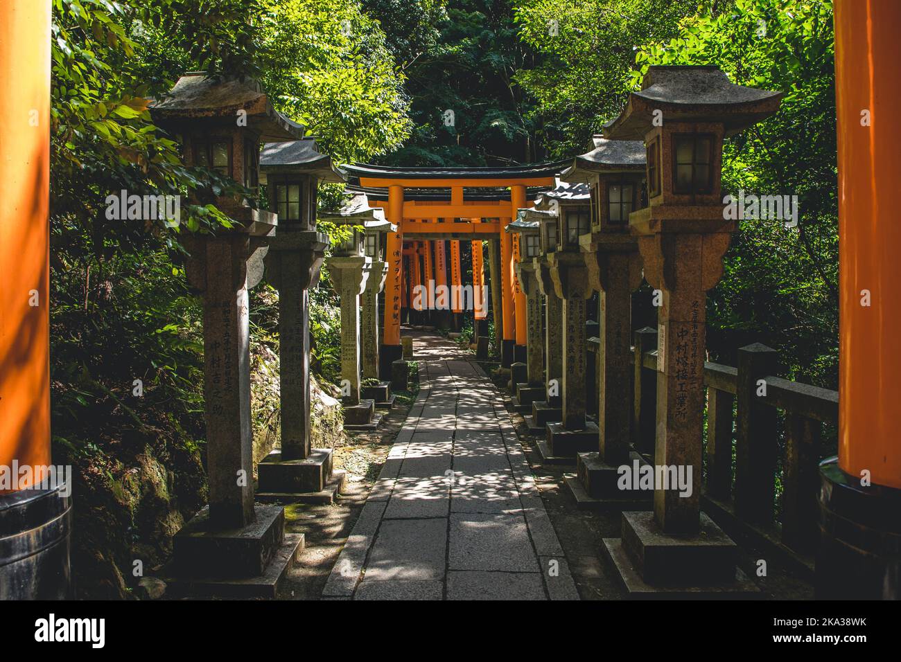 Das rote Torii-Tor im Fushimi Inari Taisha-Schrein ist das berühmte Wahrzeichen von Kyoto, Japan Stockfoto
