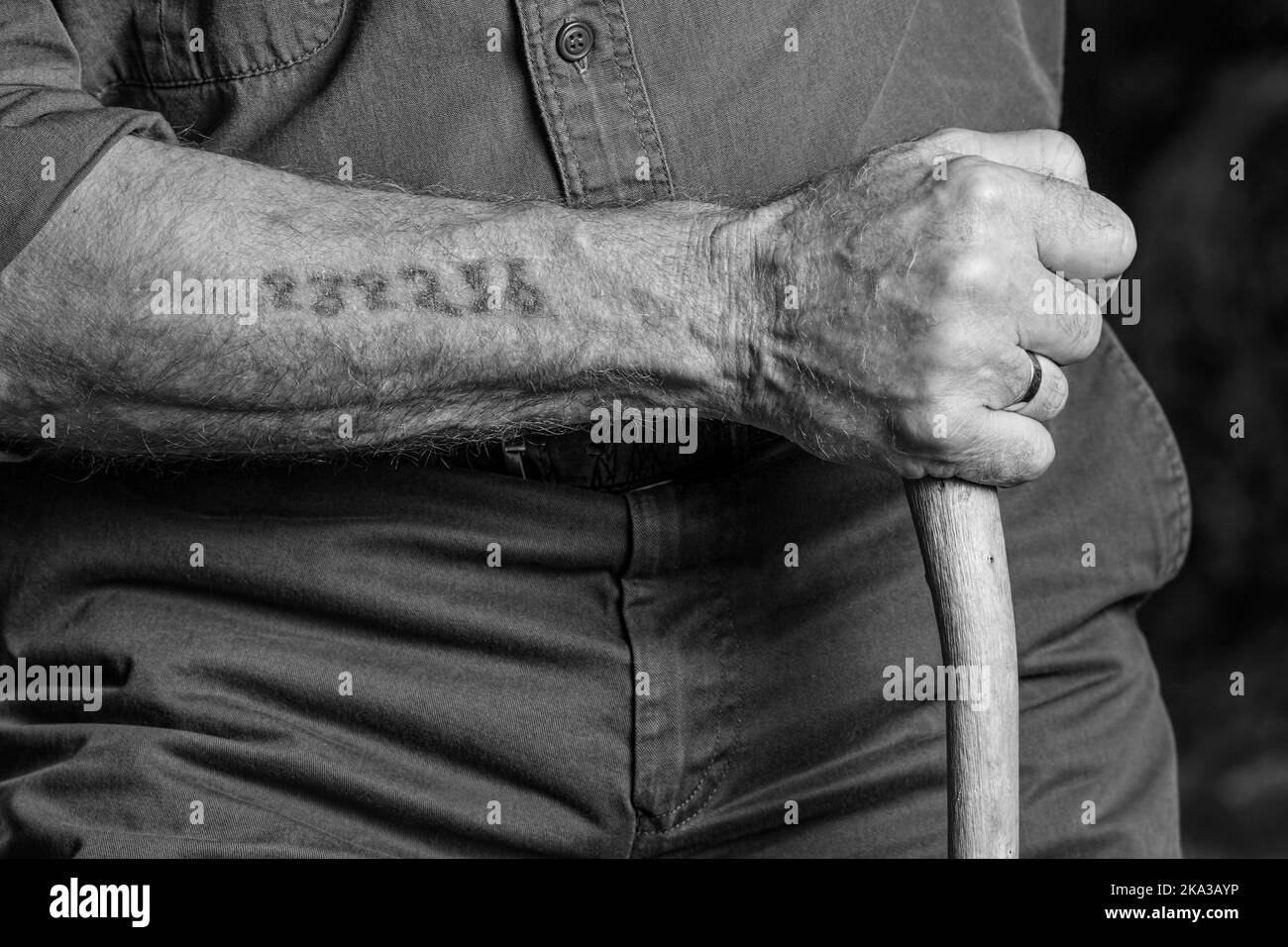 Holocaust-Survivor-Tattoo Stockfoto