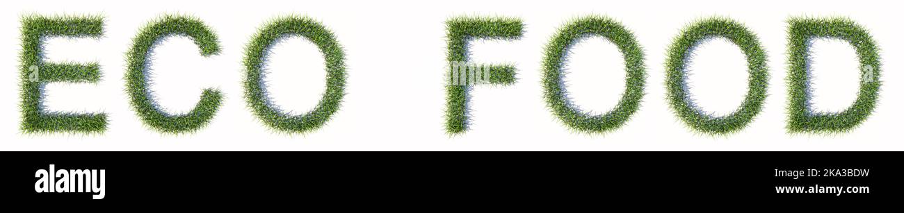 Konzept oder Konzept grünen Rasen Gras bilden ECO FOOD Text isoliert auf weißem Hintergrund. 3D Illustration als Metapher für organisch, natürlich, nein Stockfoto